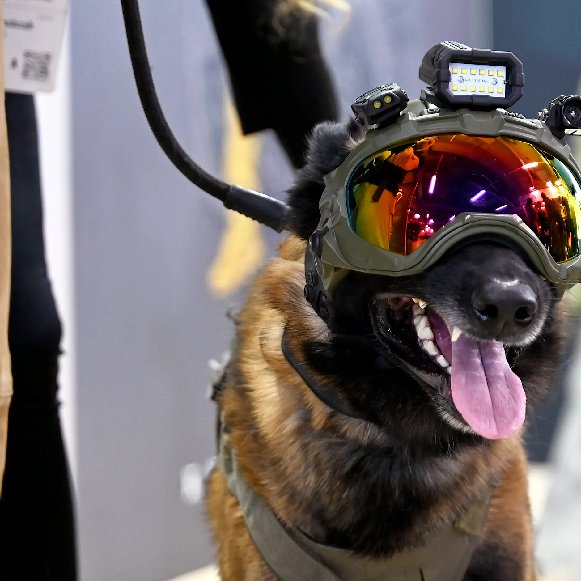 Aufrüstung als Ersatzreligion: Ein Einspruch gegen die Militarisierung im Kopf