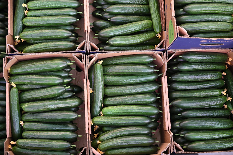 Osterbrunch in Thüringen: Gurkenpreise schwanken erheblich