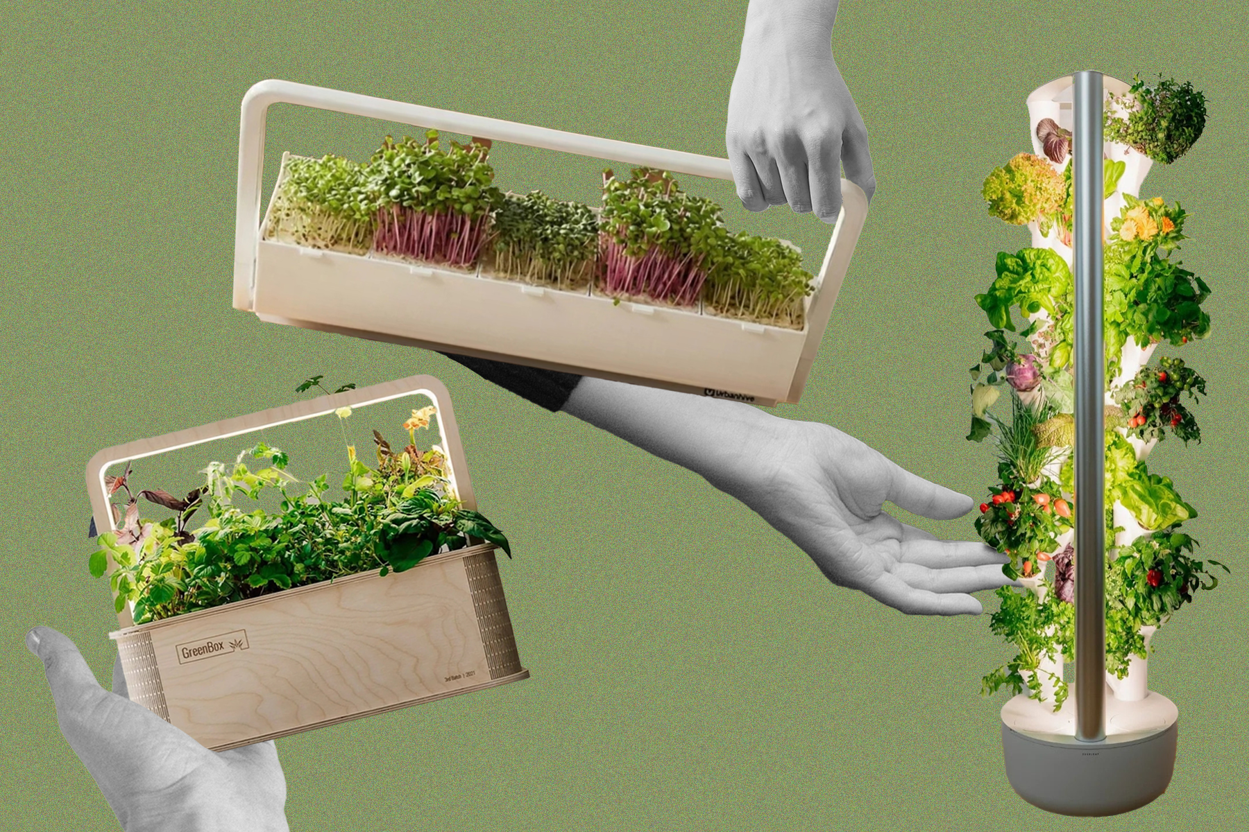 Alles im grünen Bereich! Diese smarten Indoor-Gärten bringen den Frühling nach Hause