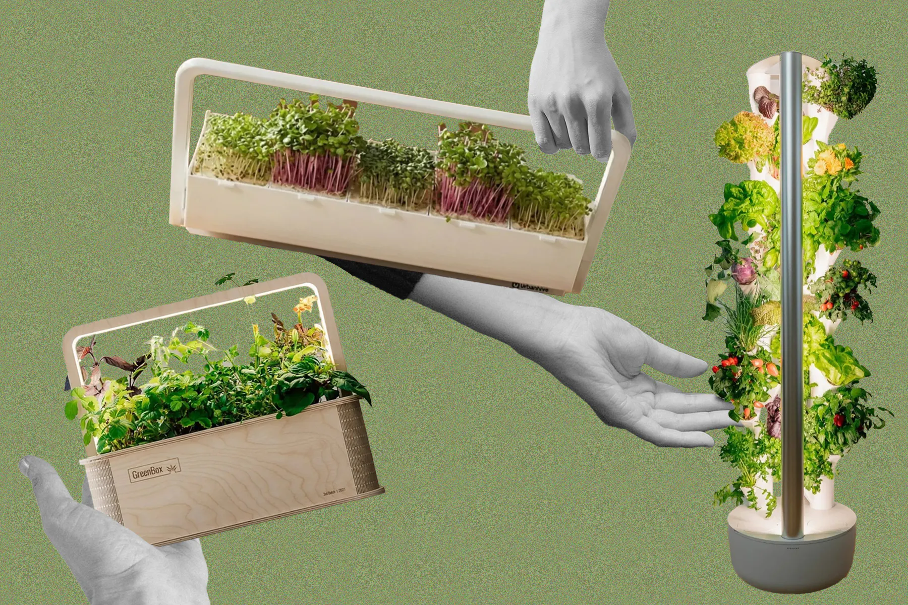 Indoor-Gärten: Mit diesen Gadgets kommen Sie definitiv auf einen grünen Zweig.