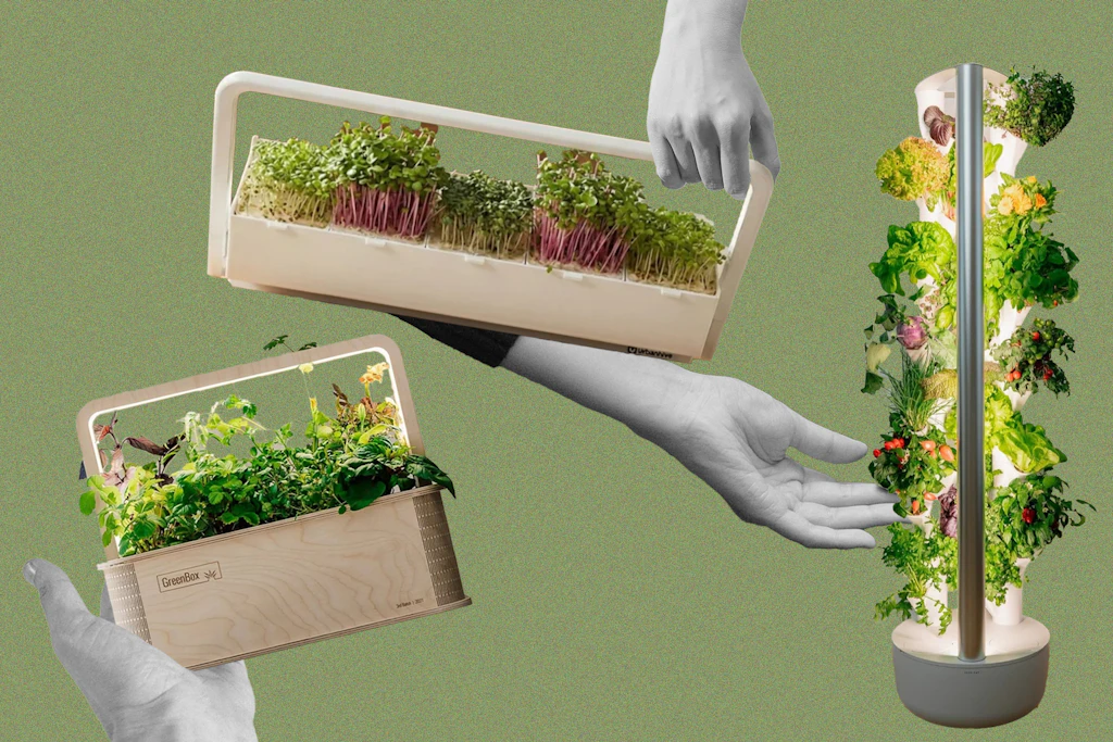 Alles im grünen Bereich! Diese smarten Indoor-Gärten bringen den Frühling nach Hause