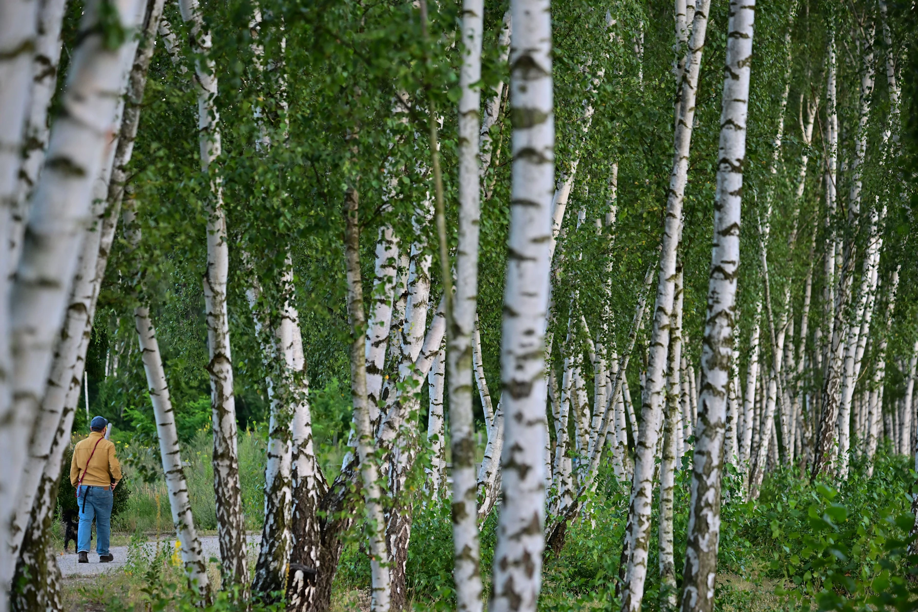 Allergiker können in Berlin an den Osterfeiertagen Probleme bekommen.