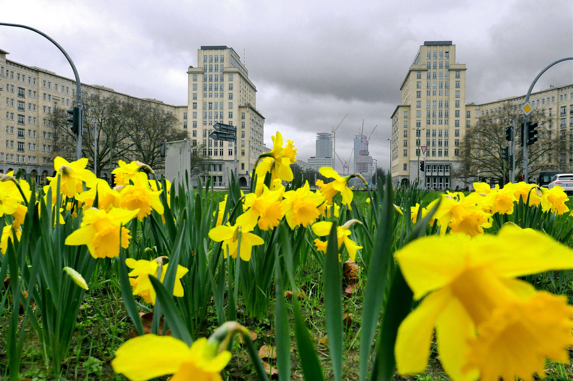 Die Blumen in den Grünanlagen verkünden den Frühling, doch im Hintergrund brauen sich dunkle Wolken zusammen. Das Wetter steckt momentan voller Kontraste!