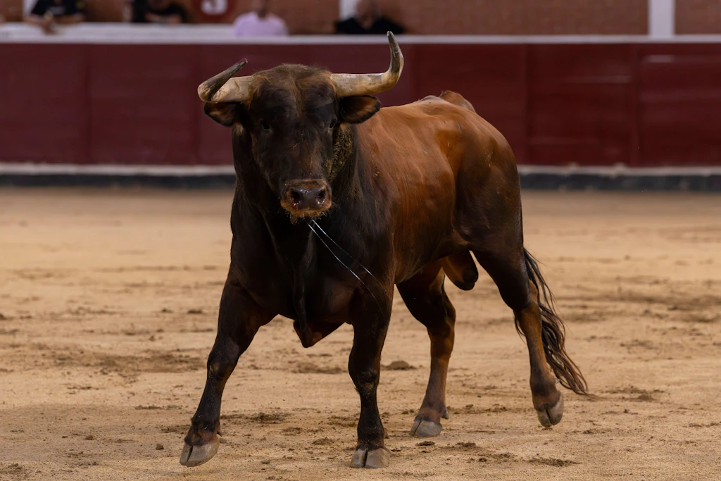 Tragischer Unfall in Málaga: Kampfbulle tötet Mitarbeiter der Stierkampfarena