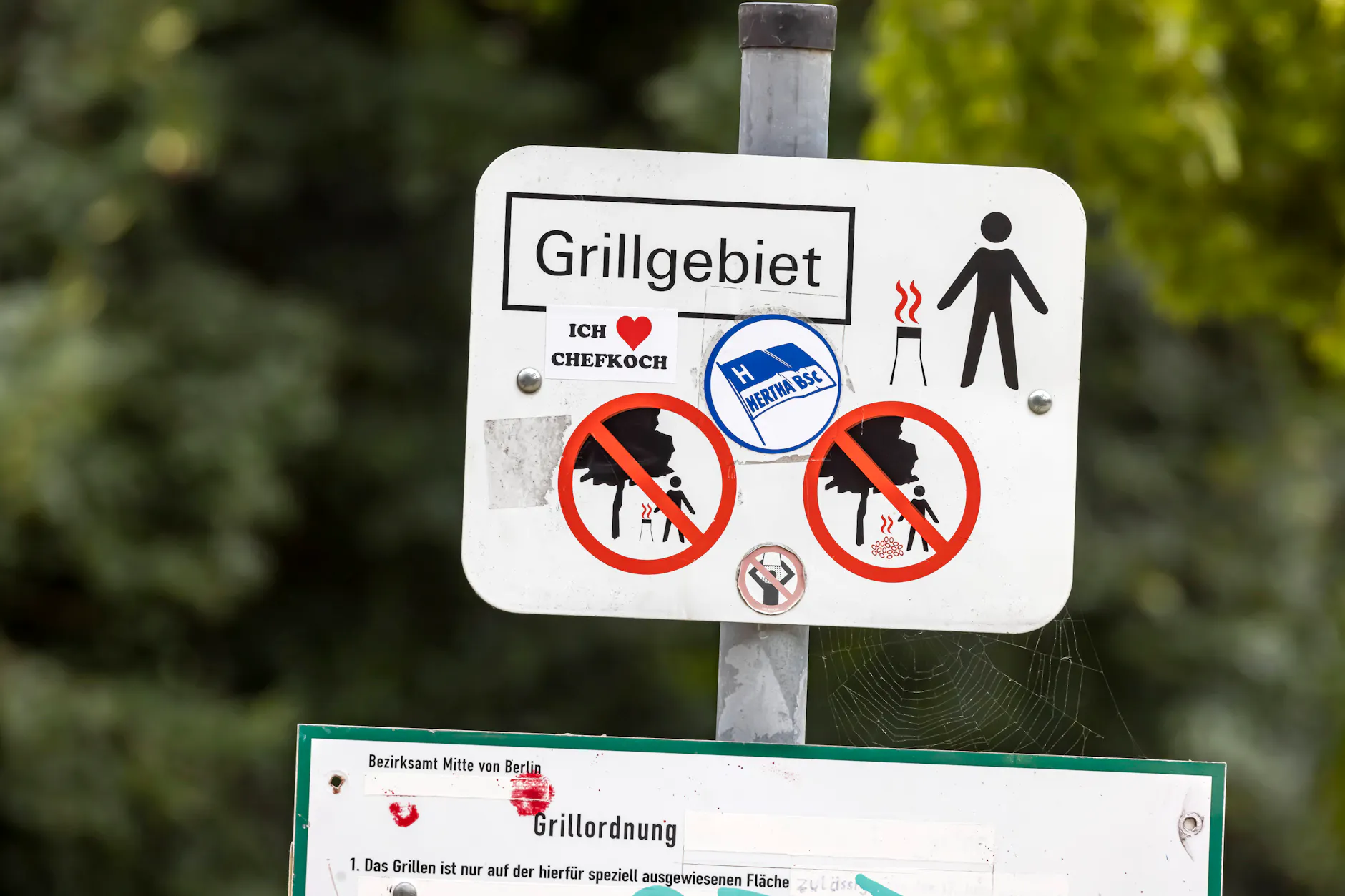 Im Monbijoupark weisen Schilder auf das Grillgebiet und die Parkordnung hin.