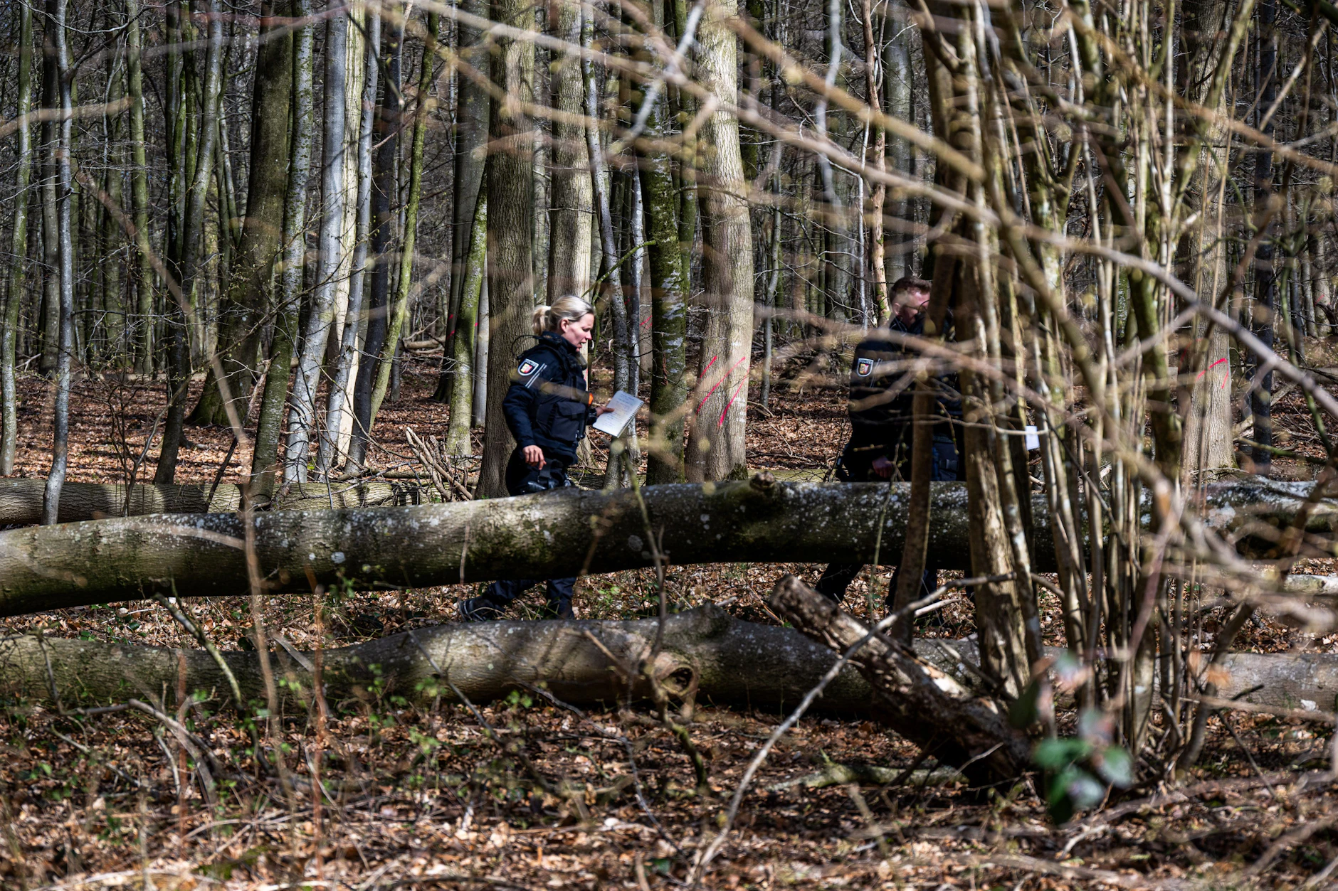 In einem Waldstück bei Flensburg sind am Ostersonntag durch einen umstürzenden Baum drei Menschen ums Leben gekommen.