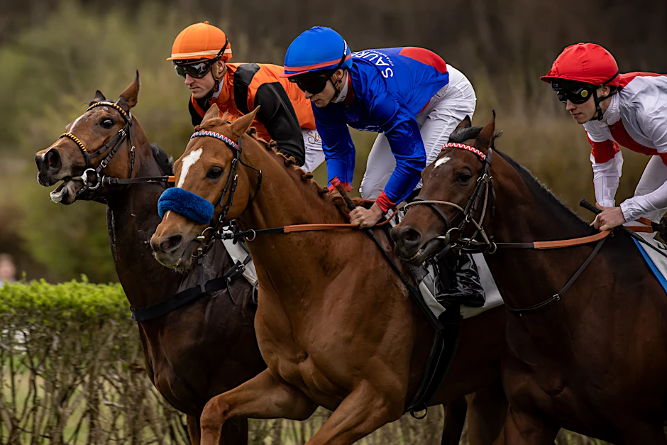 Rennen um die Wette in Hoppegarten.