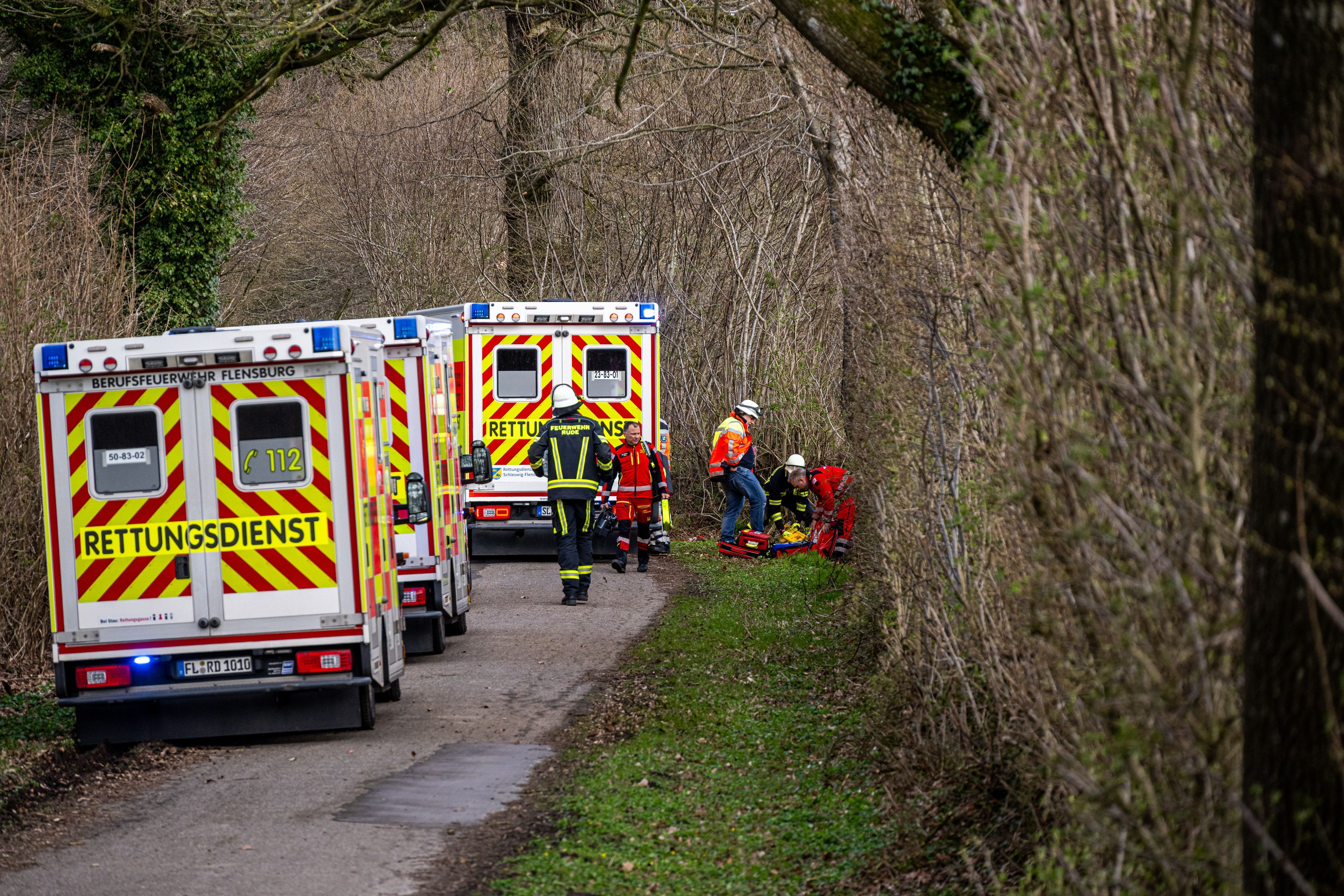 Image - Baum stürzt auf Gruppe in Waldstück bei Flensburg: Drei Tote, darunter Mutter und Baby