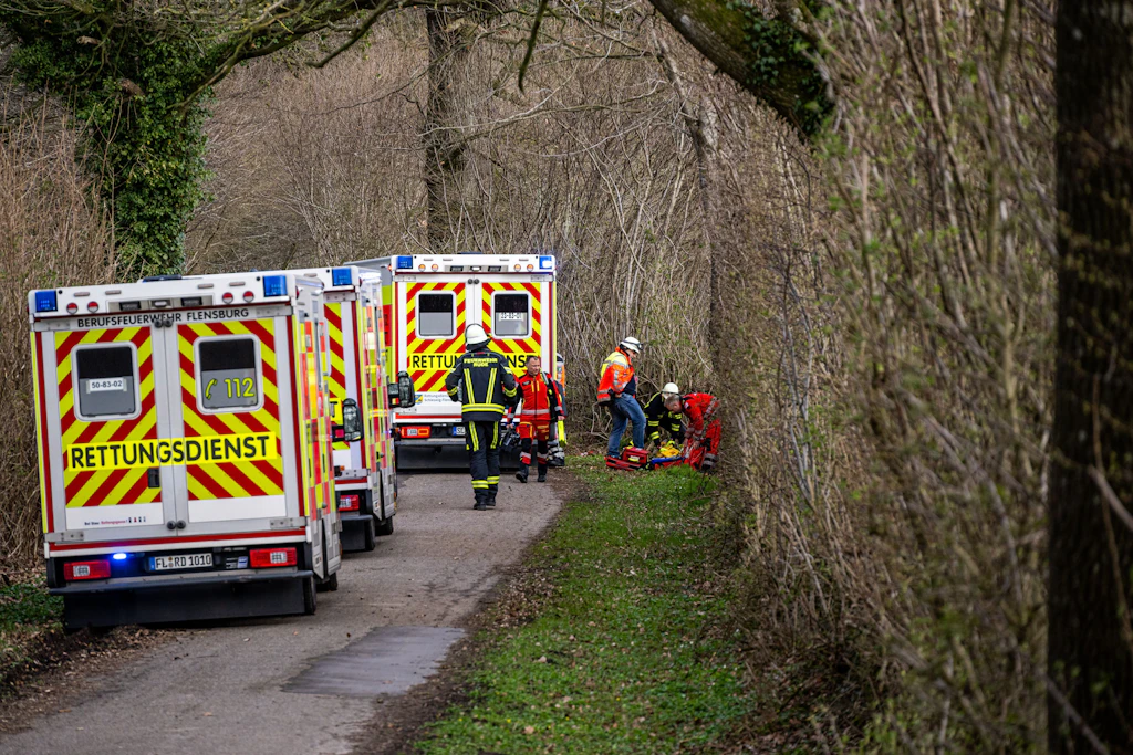 Baum stürzt auf Gruppe in Waldstück bei Flensburg: Drei Tote, darunter Mutter und Baby