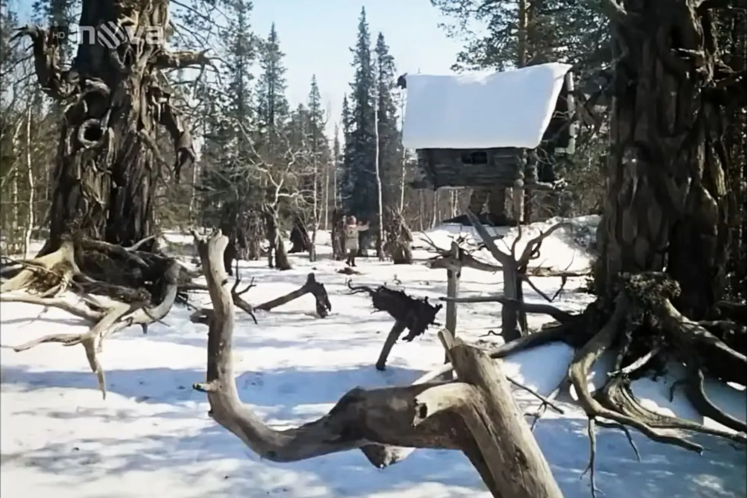 Die Hexe Baba Jaga wohnt im wohl berühmtesten Hexenhaus der Welt – es steht auf einem Hühnerfuß. So ist es auch in „Feuer, Wasser und Posaunen“ und „Abenteuer im Zauberwald“ zu sehen.