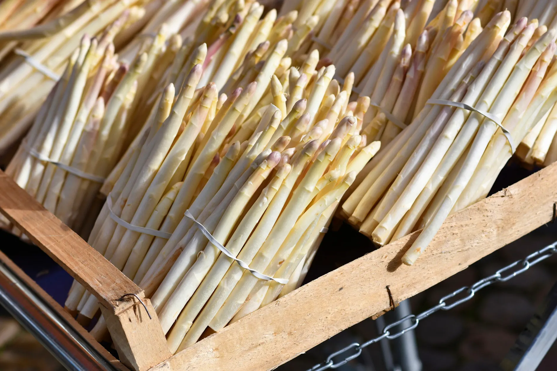 Eine ganz schöne Stange: Spargel gehört zu den gesündesten Gemüsearten überhaupt.