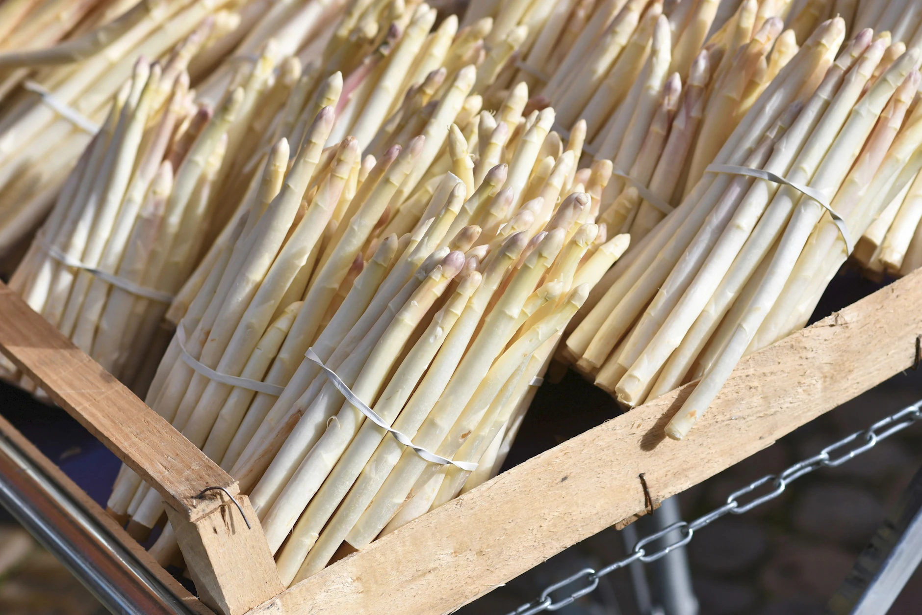 Eine ganz schöne Stange: Spargel gehört zu den gesündesten Gemüsearten überhaupt.