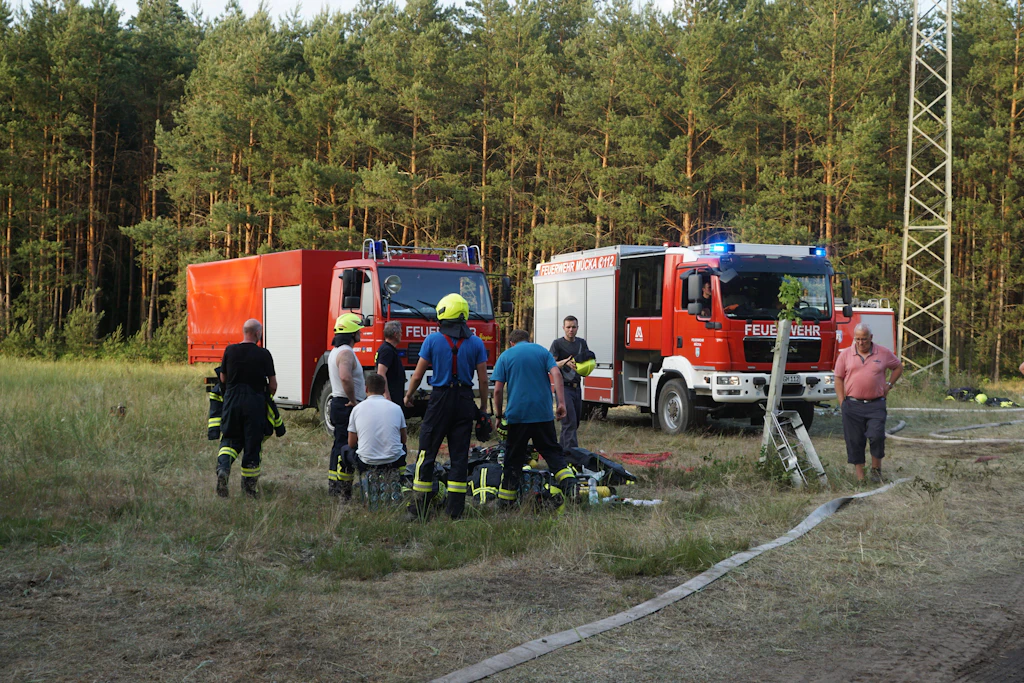 Waldbrand bei Sandschenke: Polizei ermittelt wegen Brandstiftung