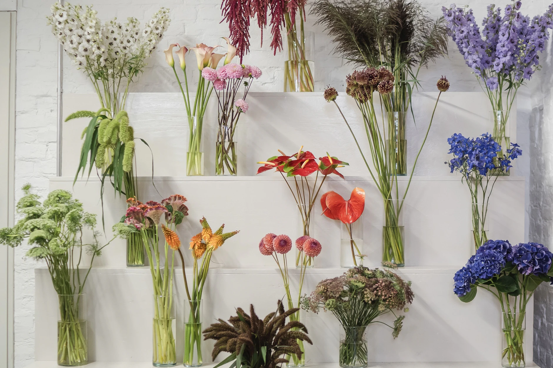 Endlich wieder mehr Auswahl bei den Blumen: Maypop in Kreuzberg versorgt Sie mit frühlingshaften Arrangements.
