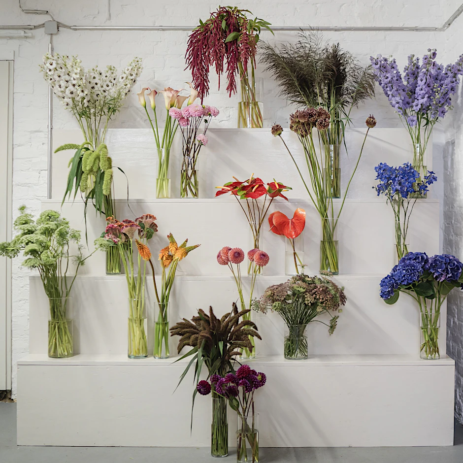 Endlich wieder mehr Auswahl bei den Blumen: Maypop in Kreuzberg versorgt Sie mit frühlingshaften Arrangements.