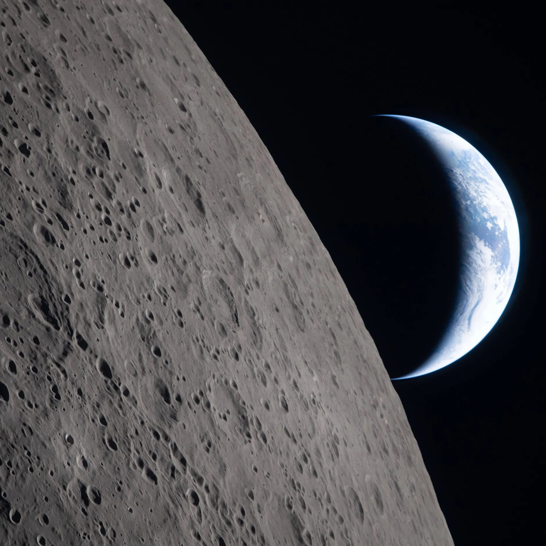 Image - Die Weintraube im All: Über die heilige Freiheit des Spielens