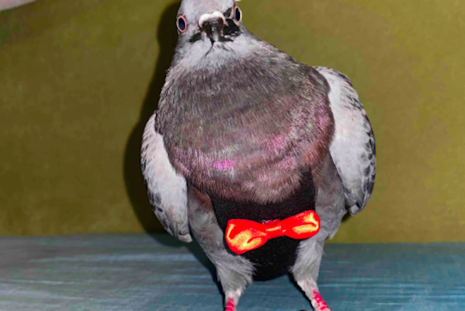 Hope war anders als die anderen!