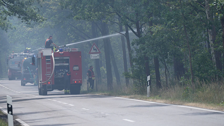 Die Waldbrandgefahr in Sachsen bleibt aufgrund der anhaltenden Trockenheit hoch. (Archivbild)