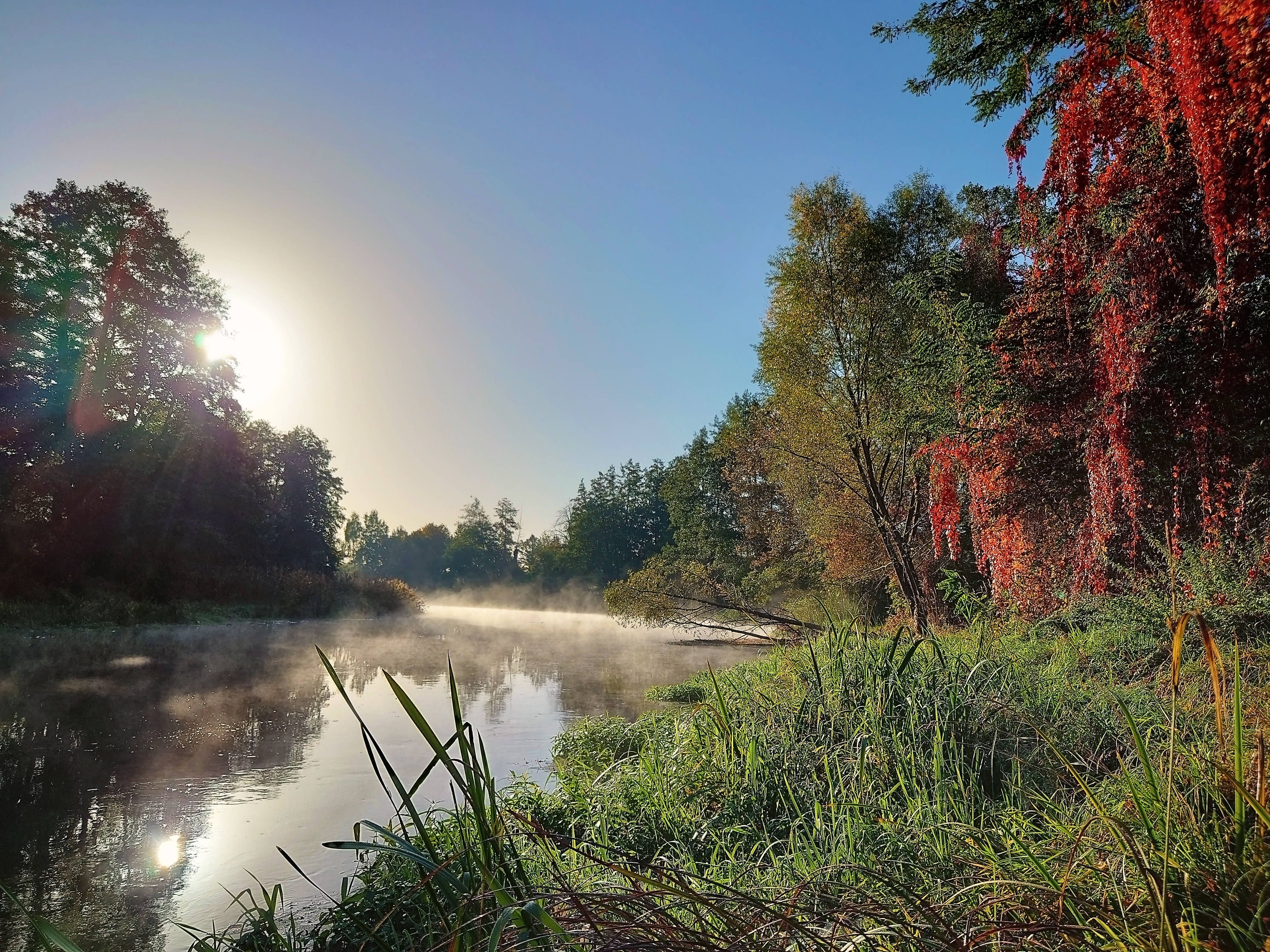 Warum skurrile Betontrümmer in der Müggelspree liegen