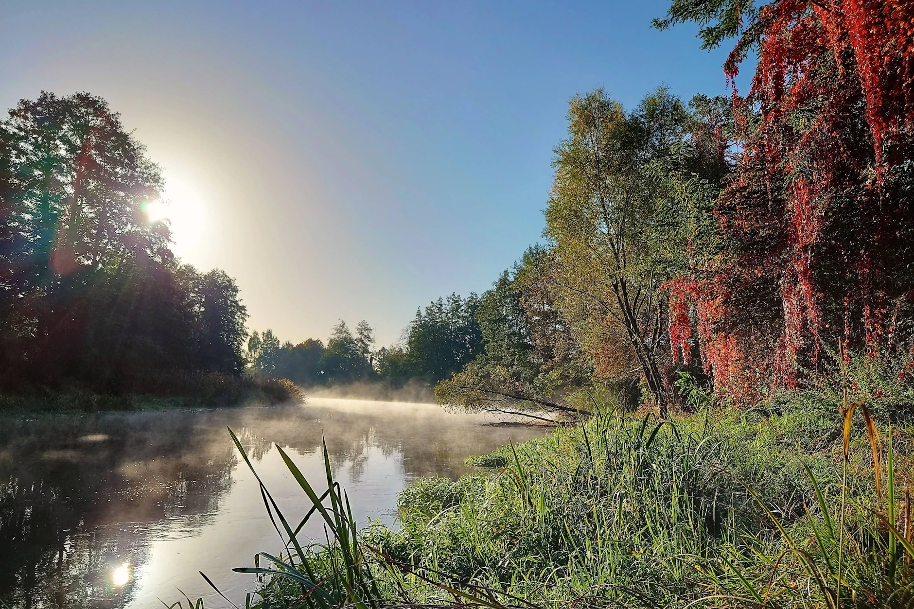 Morgenstimmung an der Müggelspree: So idyllisch und naturbelassen soll der Fluss nach Abschluss der Revitalisierung überall wieder wirken.