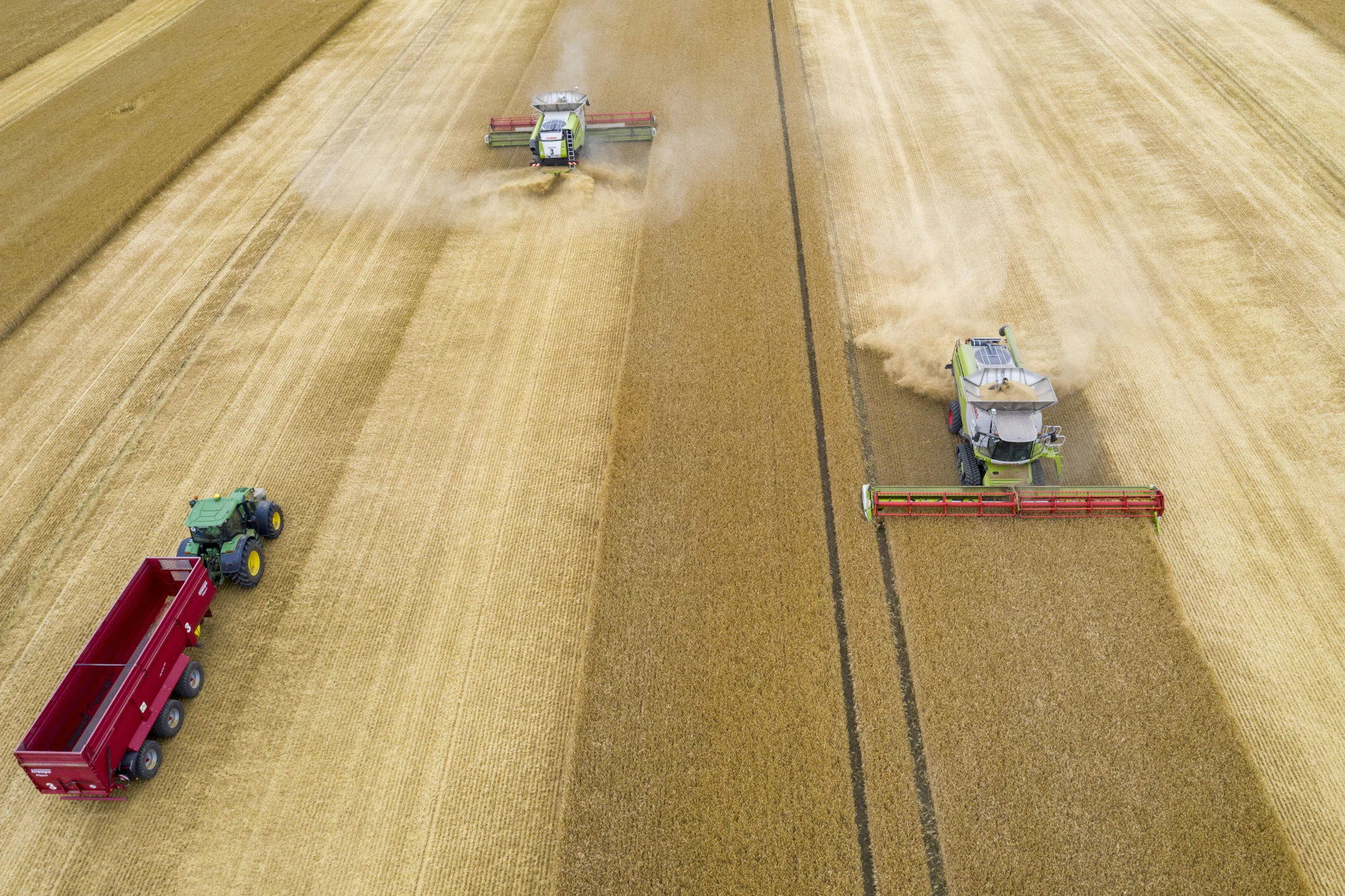 Gerstenernte in der Uckermark. 5200 landwirtschaftliche Betriebe gibt es derzeit in Brandenburg.