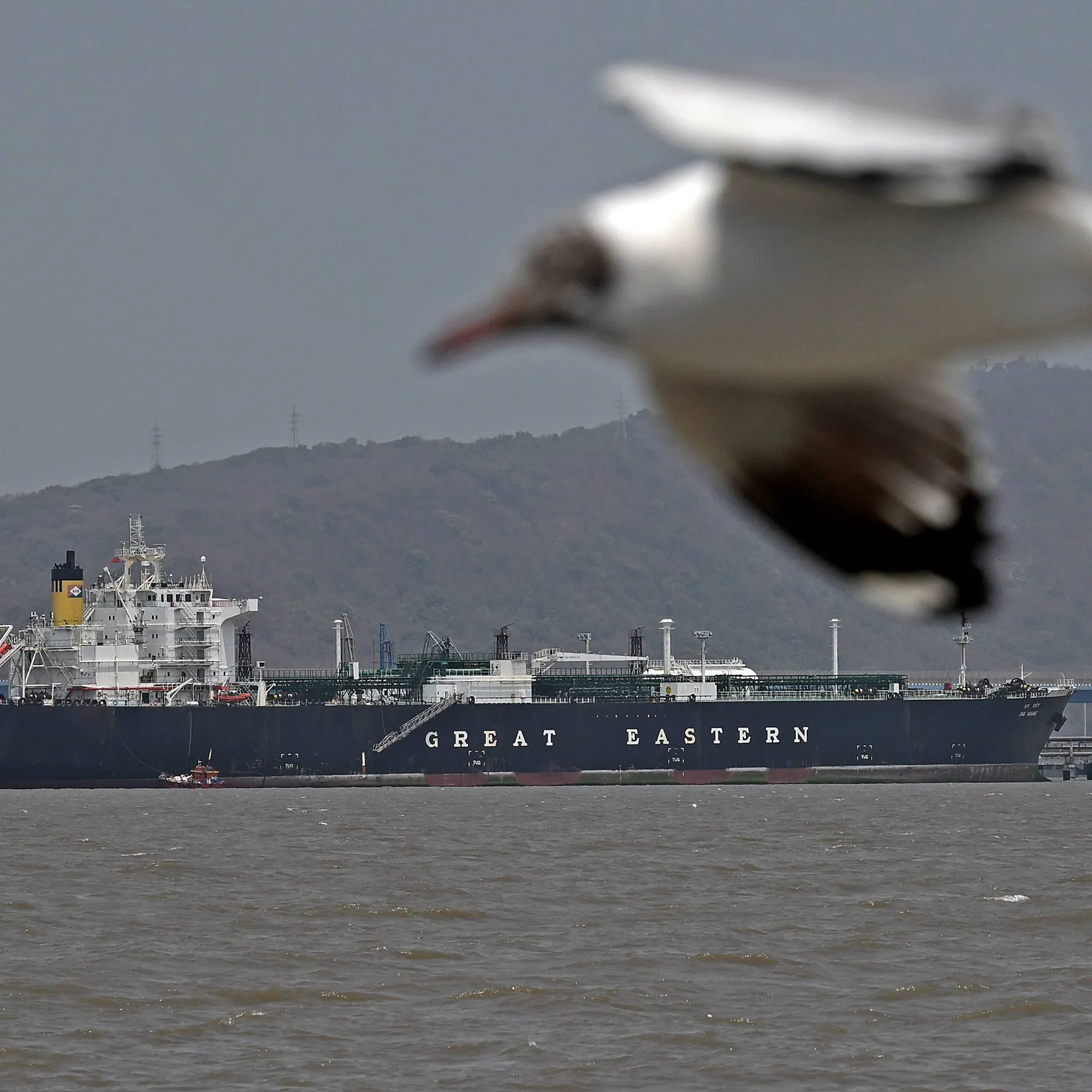 Image - Tracking-Daten: Indiens erste iranische Öllieferung seit 7 Jahren ist wohl unterwegs