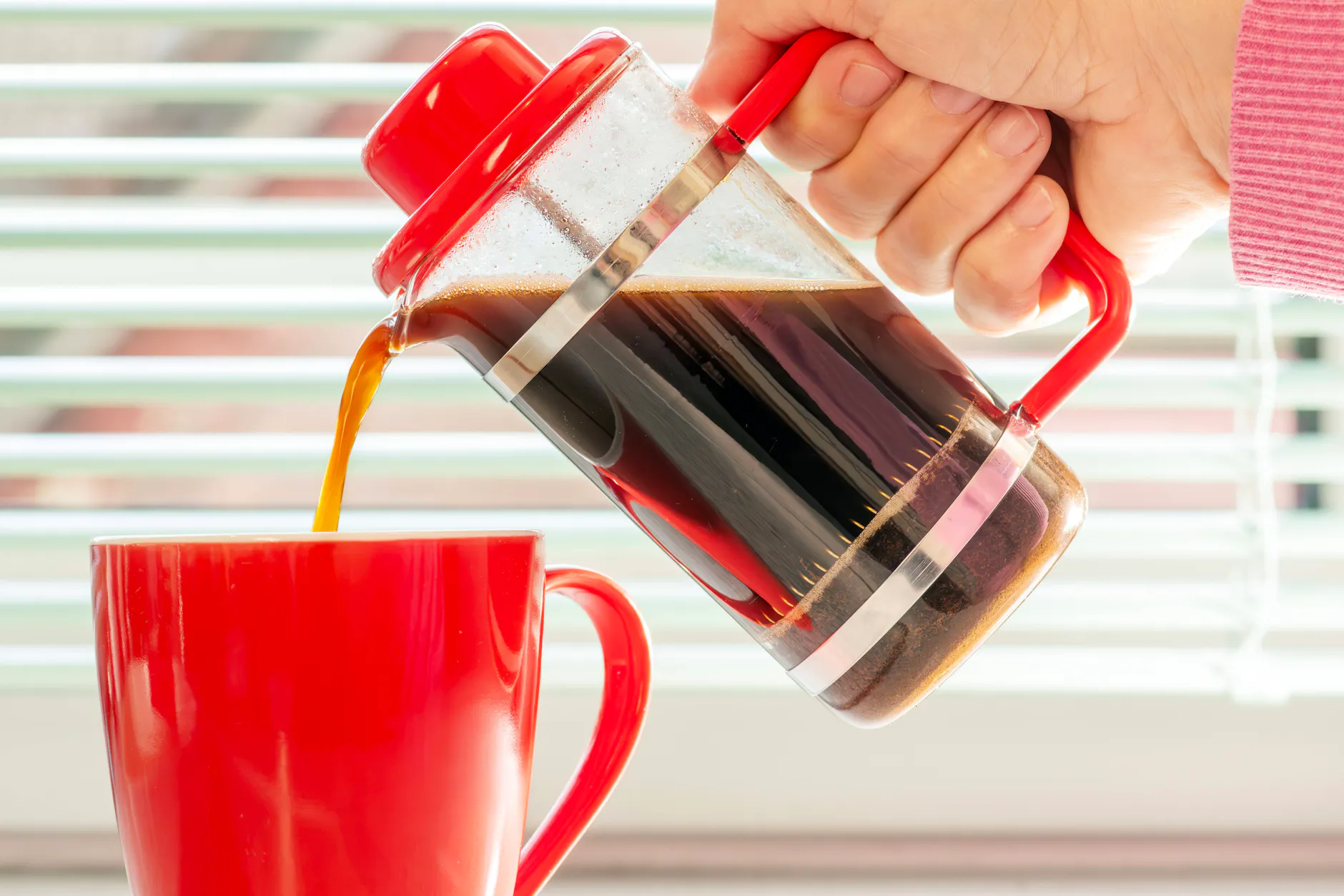 Frischer Kaffee aus der Stempelkanne ist beliebt. Doch wie wird der Kaffeesatz richtig entsorgt?