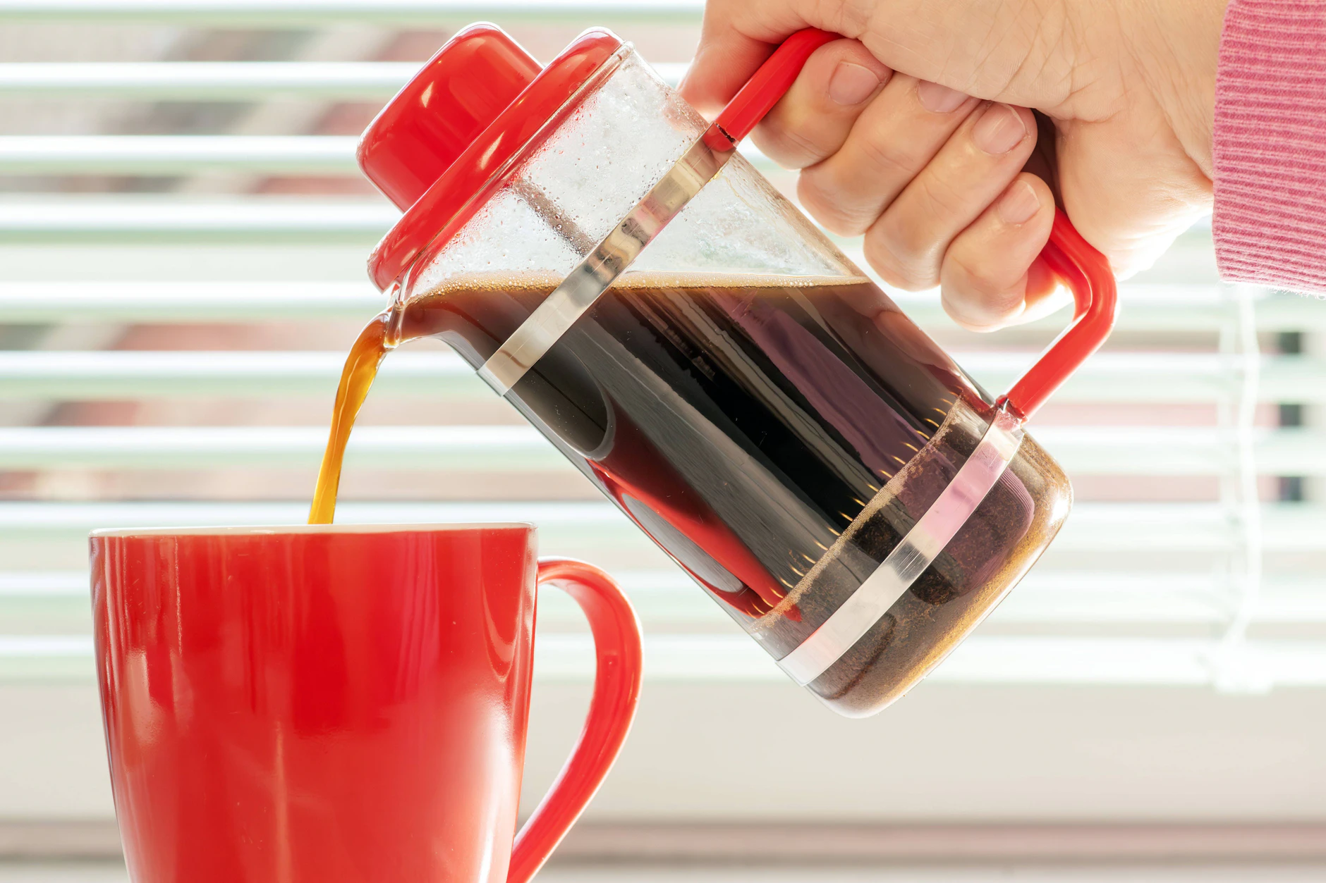 Frischer Kaffee aus der Stempelkanne ist beliebt. Doch wie wird der Kaffeesatz richtig entsorgt?