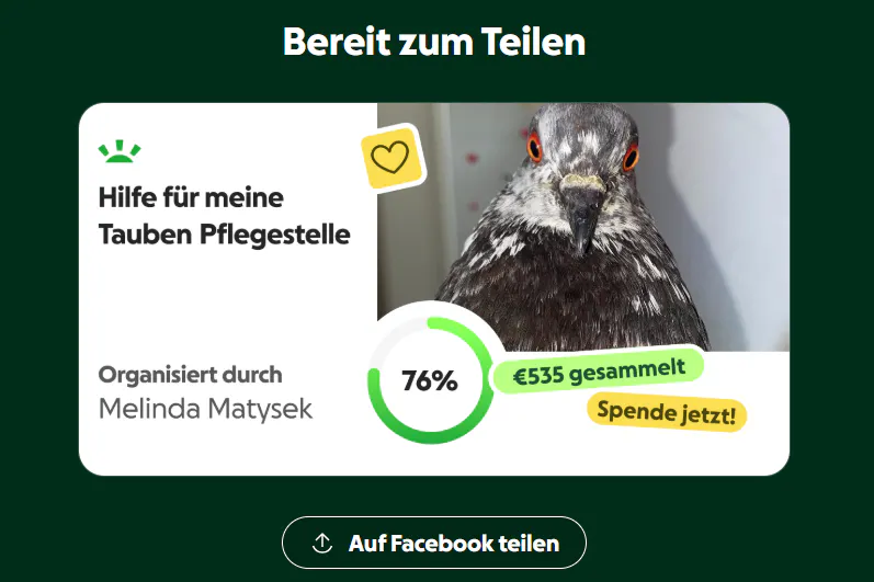 Die Taubenliebhaberin bittet um Spenden für ihre Pflegestelle.