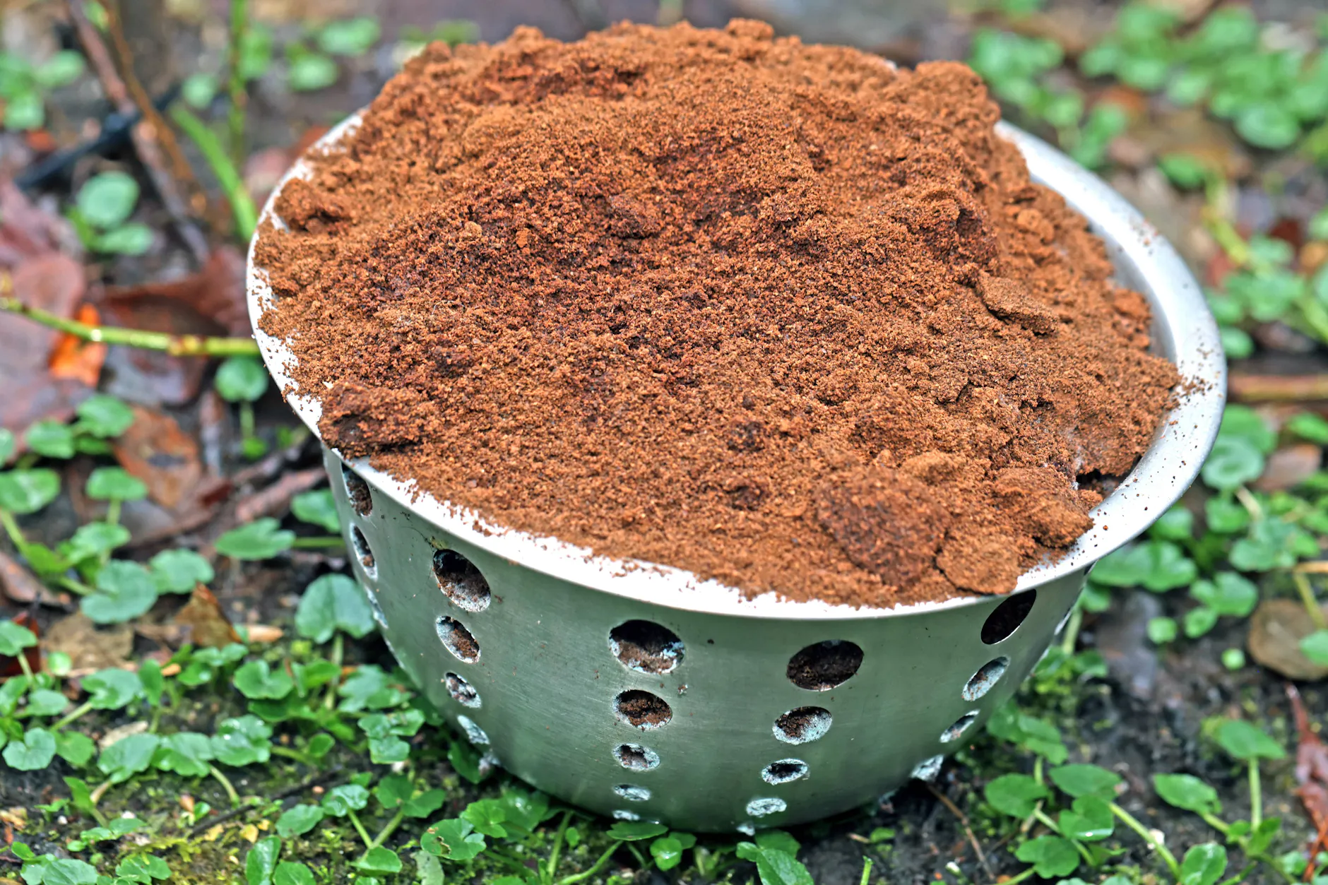 Getrockneter Kaffeesatz ist für viele Pflanzen ein prima Dünger.