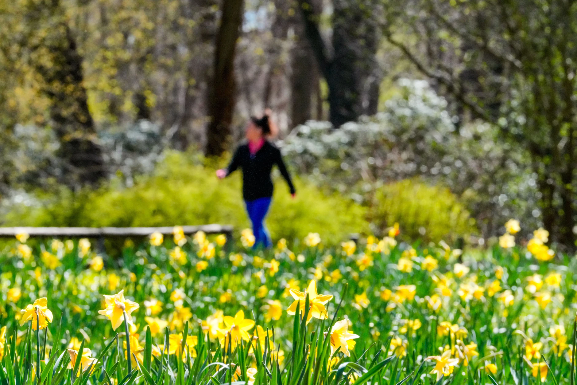 Am übernächsten Wochenende dürfen Frühlingsfans wieder auf sehr schönes Wetter hoffen.