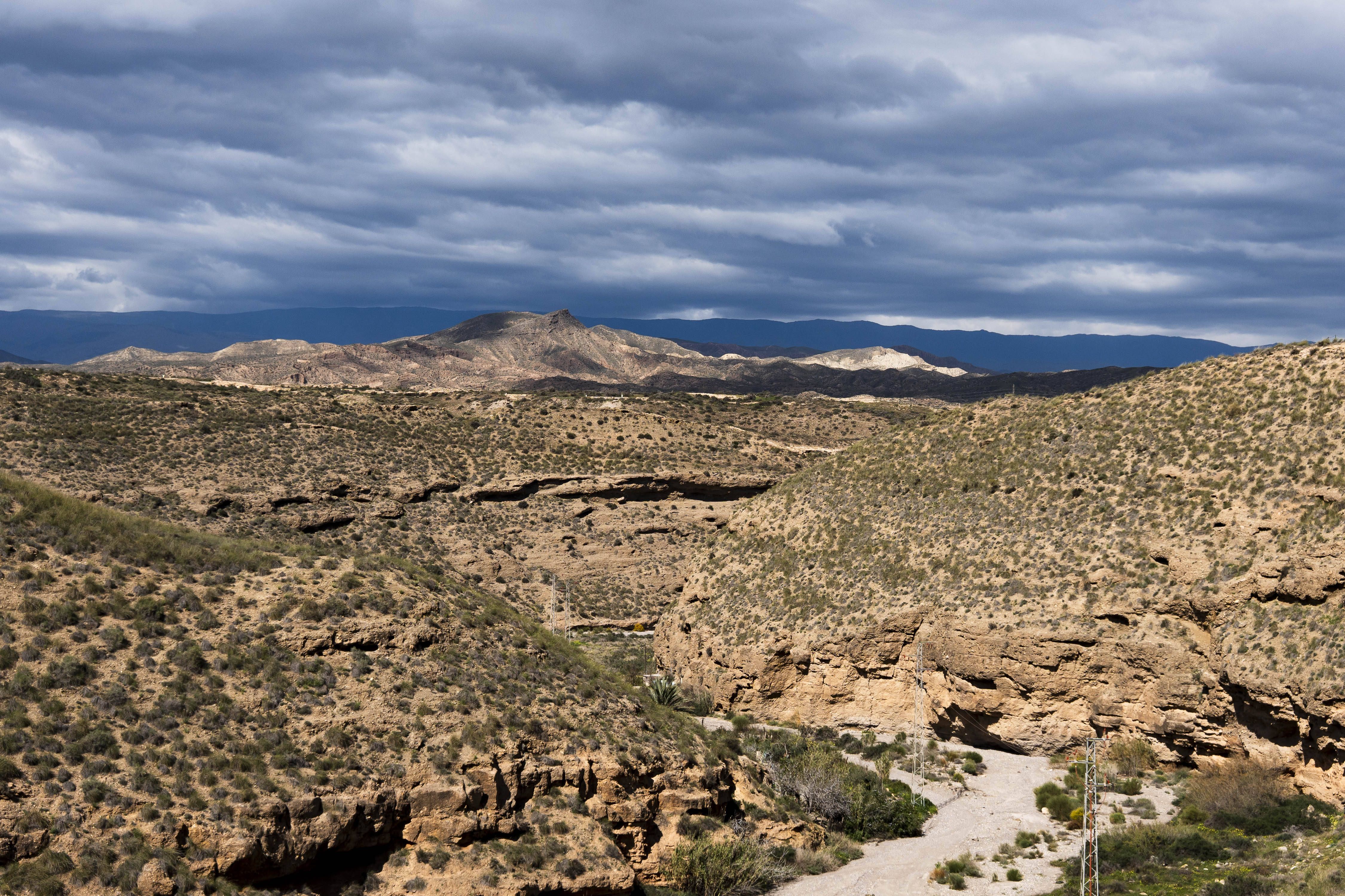 Spanien: Forscher filmen erstmals neue Spinnen-Art