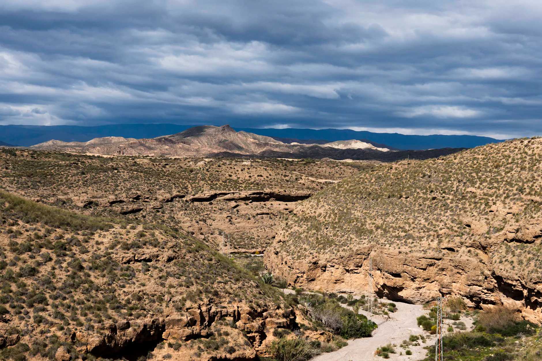 Die Almería-Halbwüste in Andalusien. Hier wurde eine neue Spinnenart entdeckt.