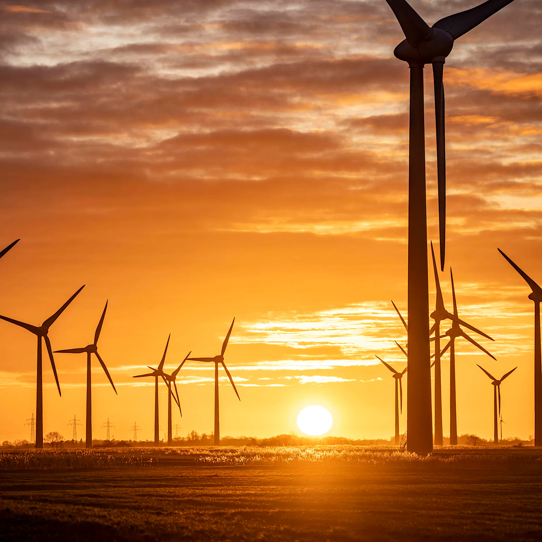 Markt- statt Planwirtschaft: Ostdeutschland drohen neue Ausbauregeln bei der Energiewende