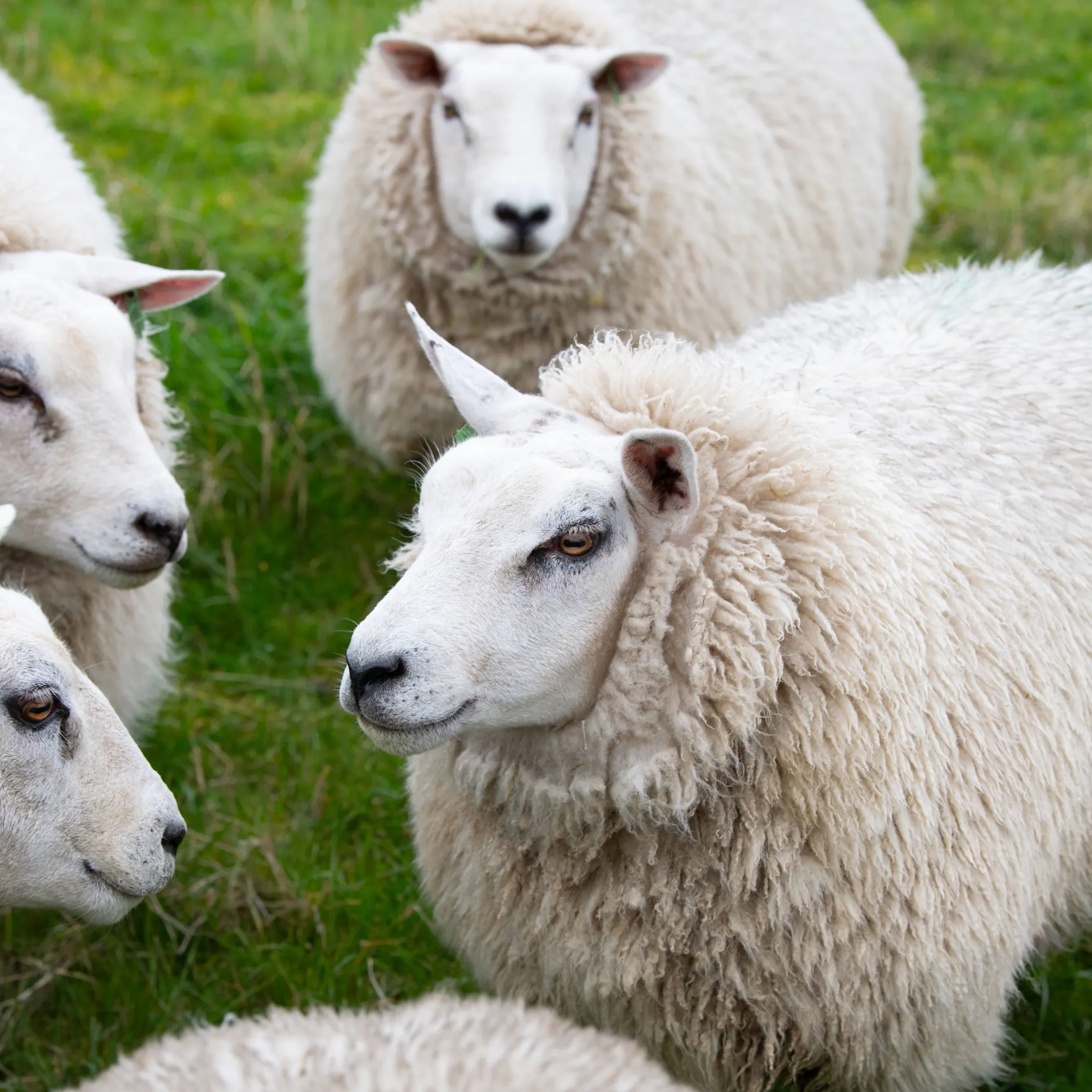 Image - Im Schlafwagen in die Unfreiheit? Die „Berliner Erklärung zur Meinungsfreiheit“