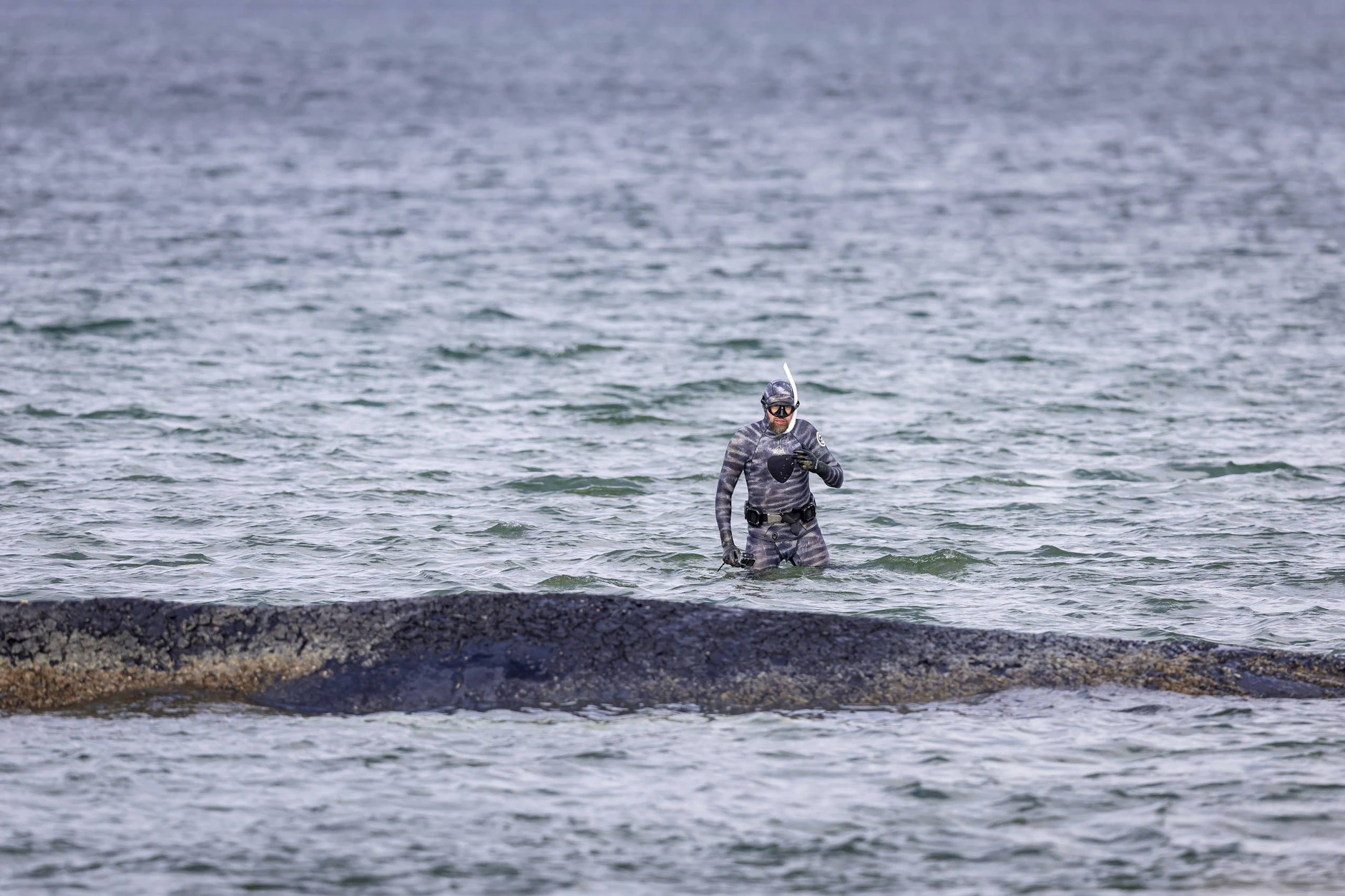 War bei Timmys erster Strandung vor dem Timmendorfer Strand als Spezialist im Einsatz: Robert Marc Lehmann