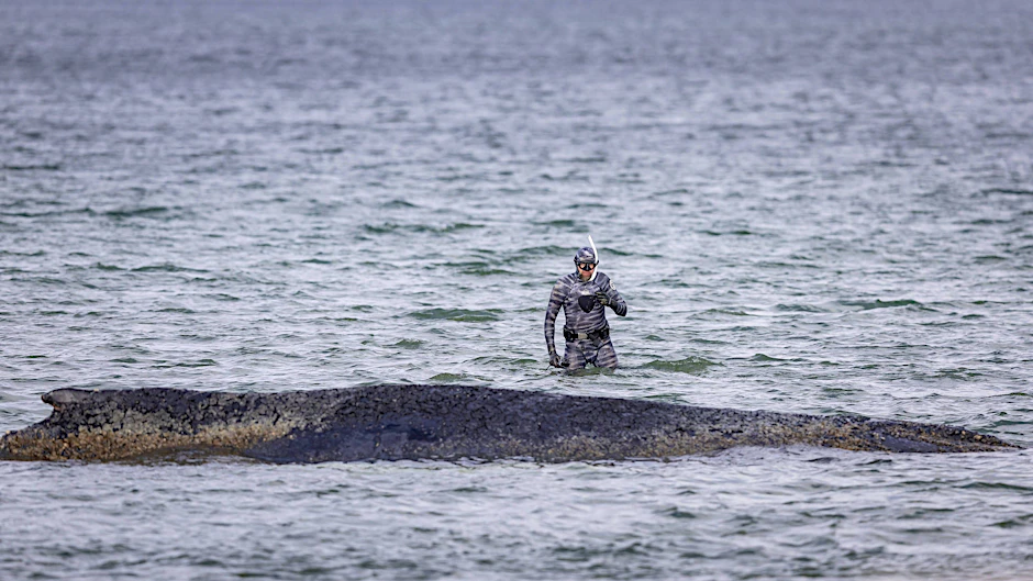 War bei Timmys erster Strandung vor Timmendorfer Strand als Spezialist im Einsatz: Robert Marc Lehmann.