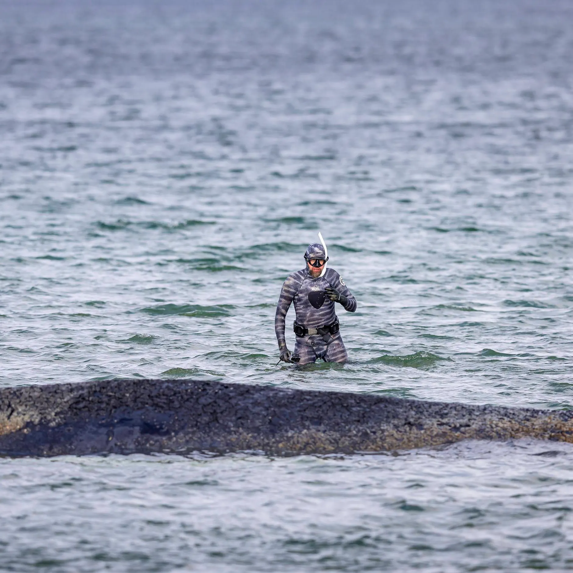 Image - Vom Gefragten zum Gesuchten: Warum ist der Wal-Experte plötzlich abgetaucht?