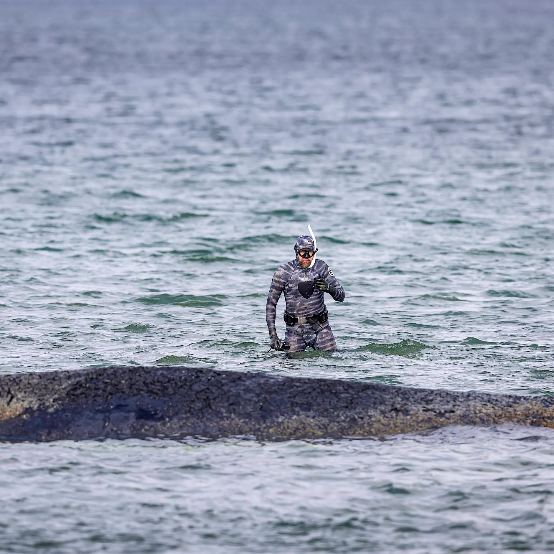 Vom Gefragten zum Gesuchten: Warum ist der Wal-Experte plötzlich abgetaucht?
