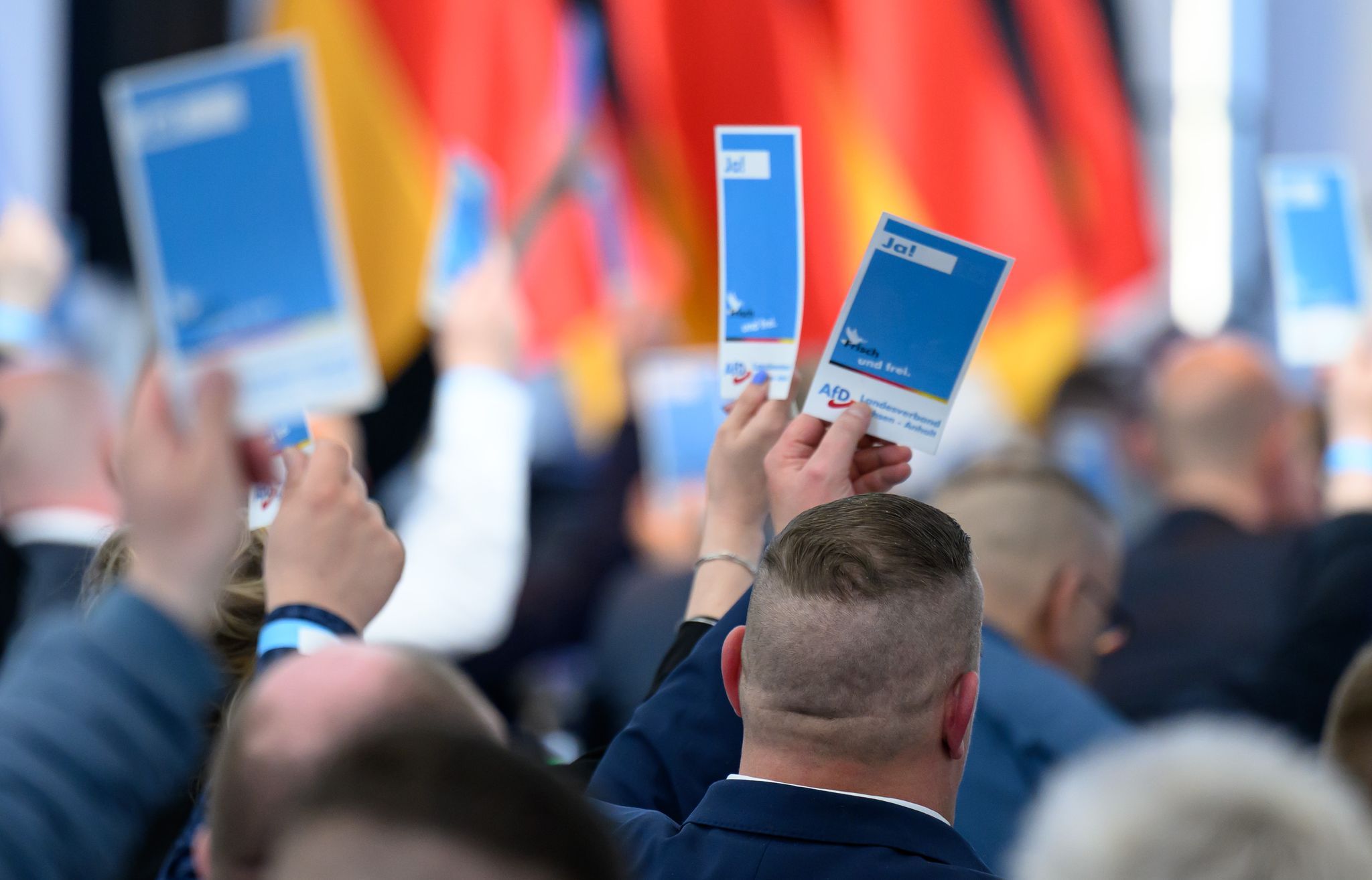 Auf dem Weg zur Macht? AfD in Sachsen-Anhalt beschließt Regierungsprogramm