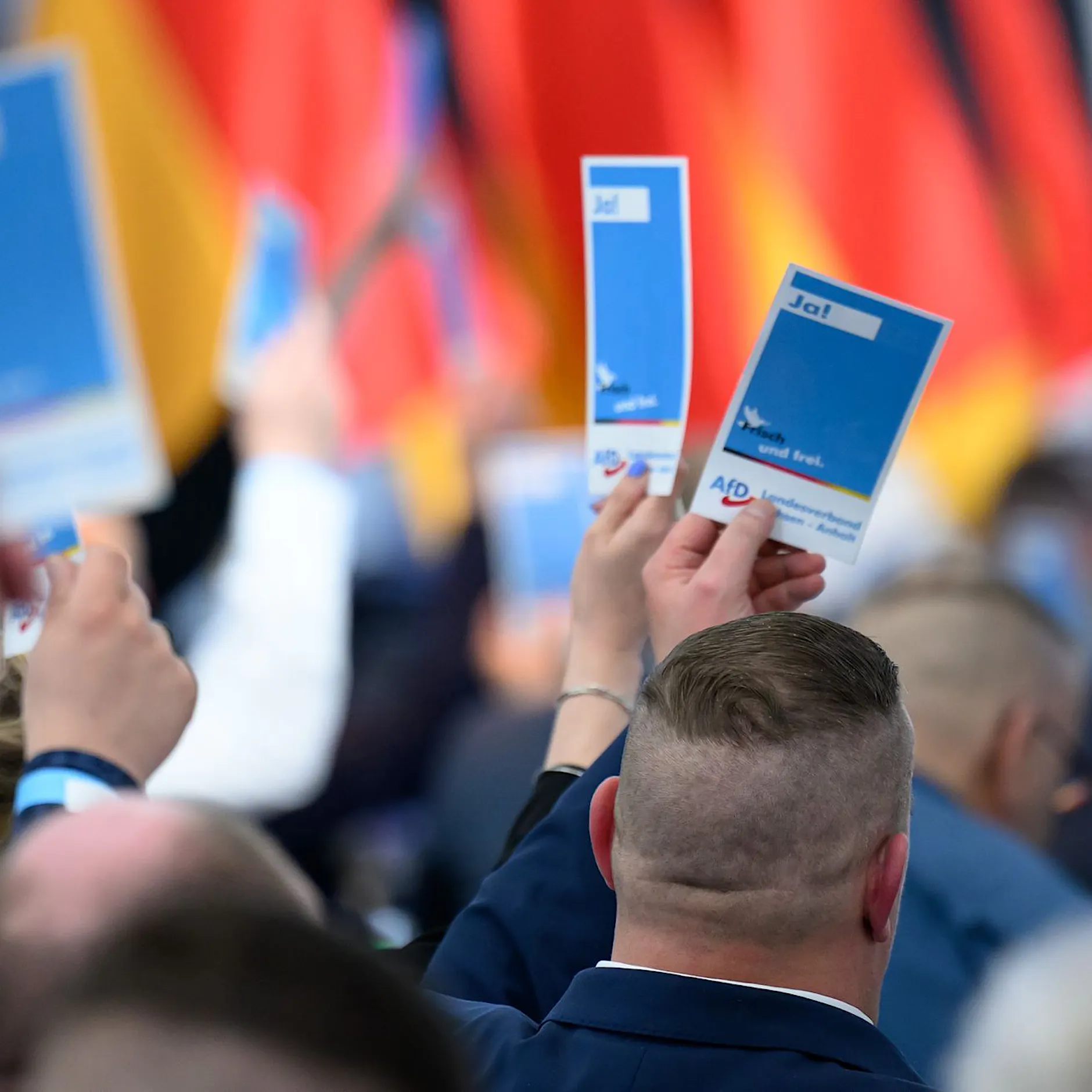 Auf dem Weg zur Macht? AfD in Sachsen-Anhalt beschließt Regierungsprogramm
