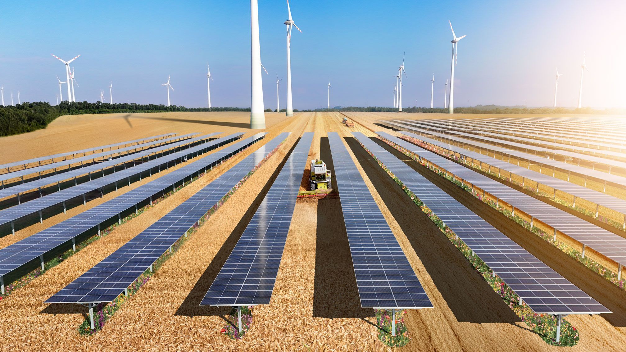 Solarfelder für Berlin: Gemeinde in Brandenburg verdient Millionen mit Mega-Projekt