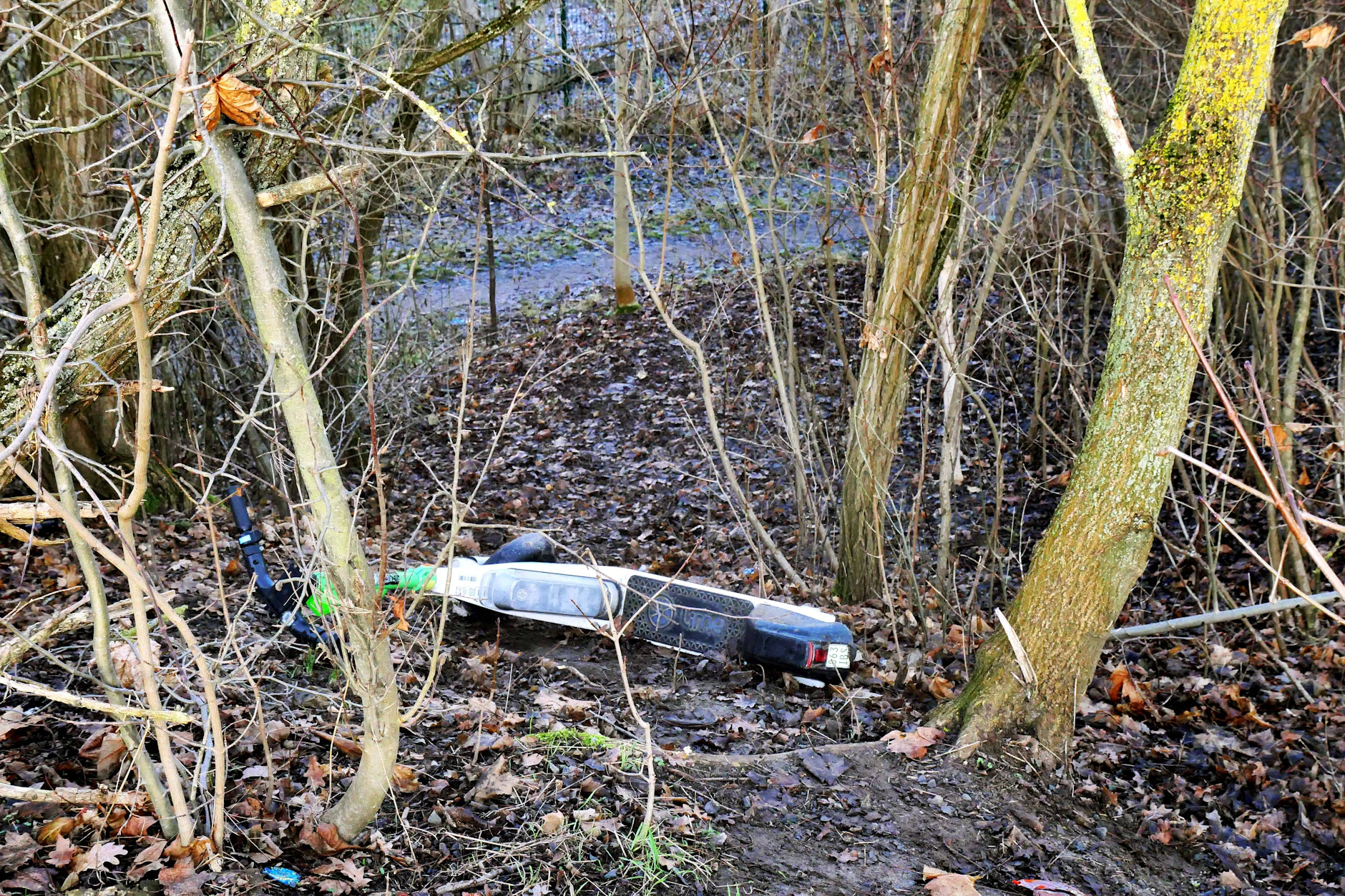 Manchmal finden sich E-Roller einfach in der Natur wieder. Sie werden von Roller-Chaoten ins Gebüsch geschmissen.