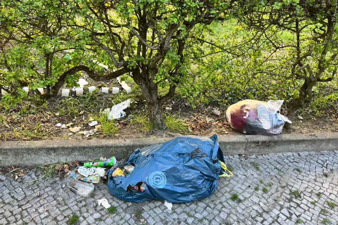 Am 7. April meldete ein Anwohner am Lindhorstweg 52 in Berlin-Johannisthal Müll auf dem Gehweg und in Büschen. Bisher ist der Status bei Ordnungsamt-Online immer noch: in Bearbeitung.