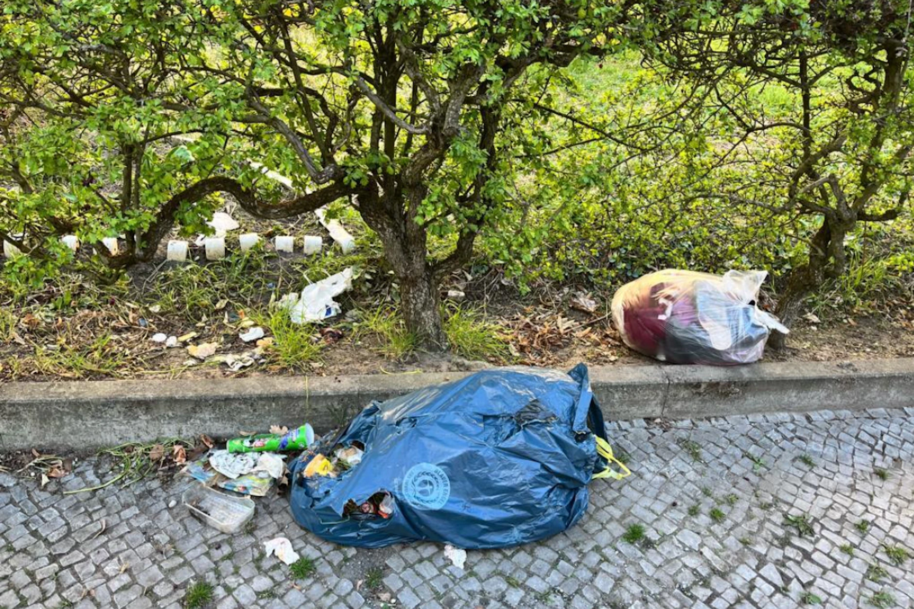 Am 7. April meldete ein Anwohner am Lindhorstweg 52 in Berlin-Johannisthal Müll auf dem Gehweg und in Büschen. Bisher ist der Status bei Ordnungsamt-Online immer noch: in Bearbeitung.