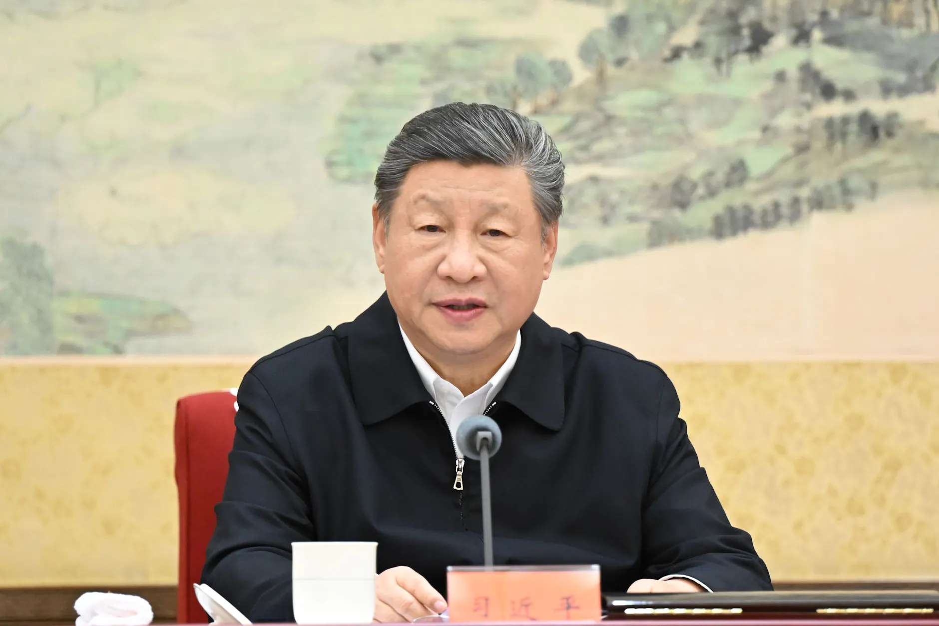 Der chinesische Präsident Xi Jinping