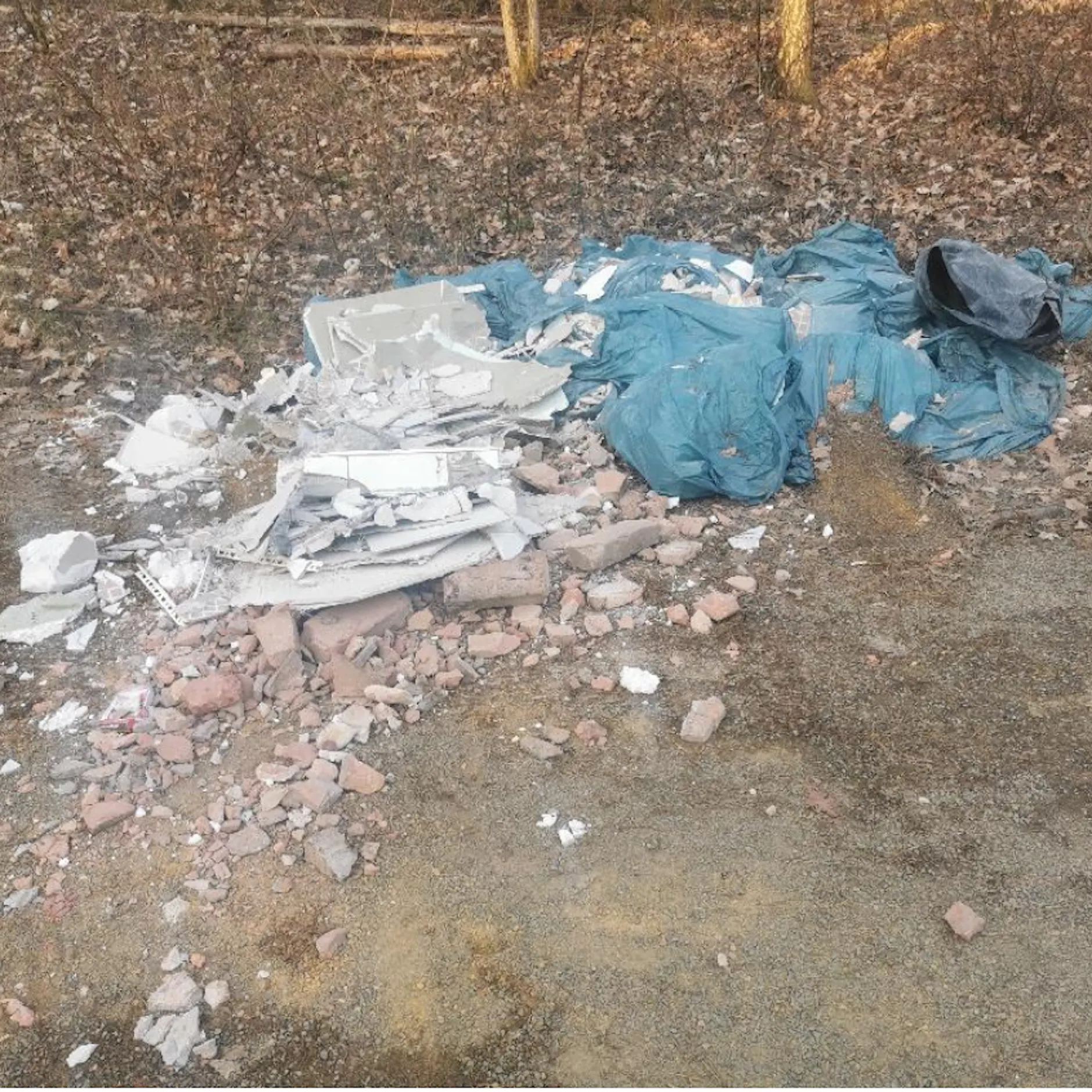 Sie kosten Berlin 13 Mio. Euro: Die Jagdsaison auf Müllferkel hat begonnen