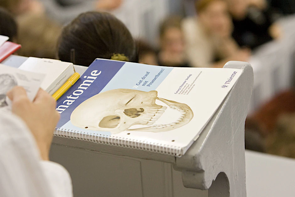 An den Universitäten Mecklenburg-Vorpommerns gibt es noch freie Studienplätze für angehende Landärzte, Zahnmediziner und Pharmazeuten. (Symbolbild)