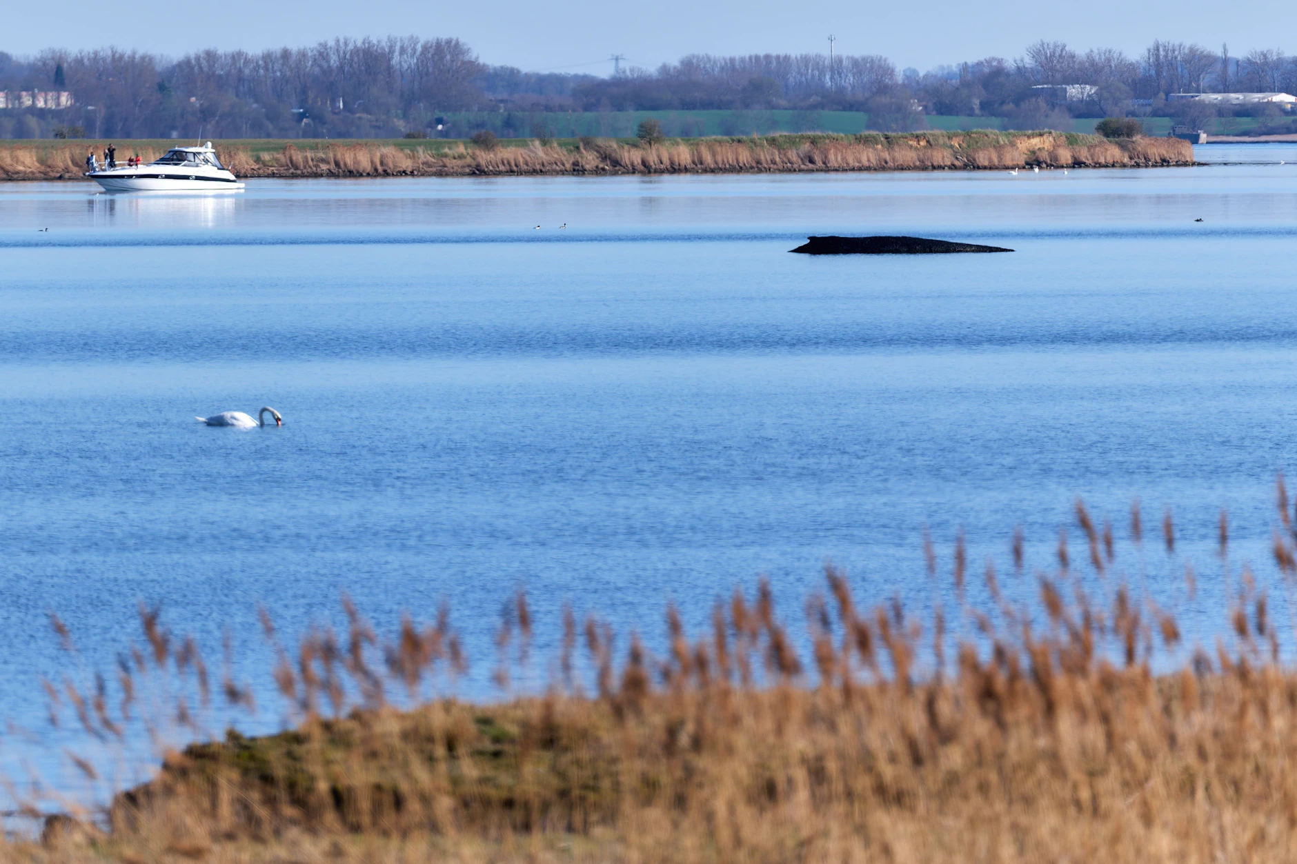 Bereits seit Ende März liegt Buckelwal Timmy in der Bucht vor Wismar. Sein Zustand verschlechtert sich seitdem.