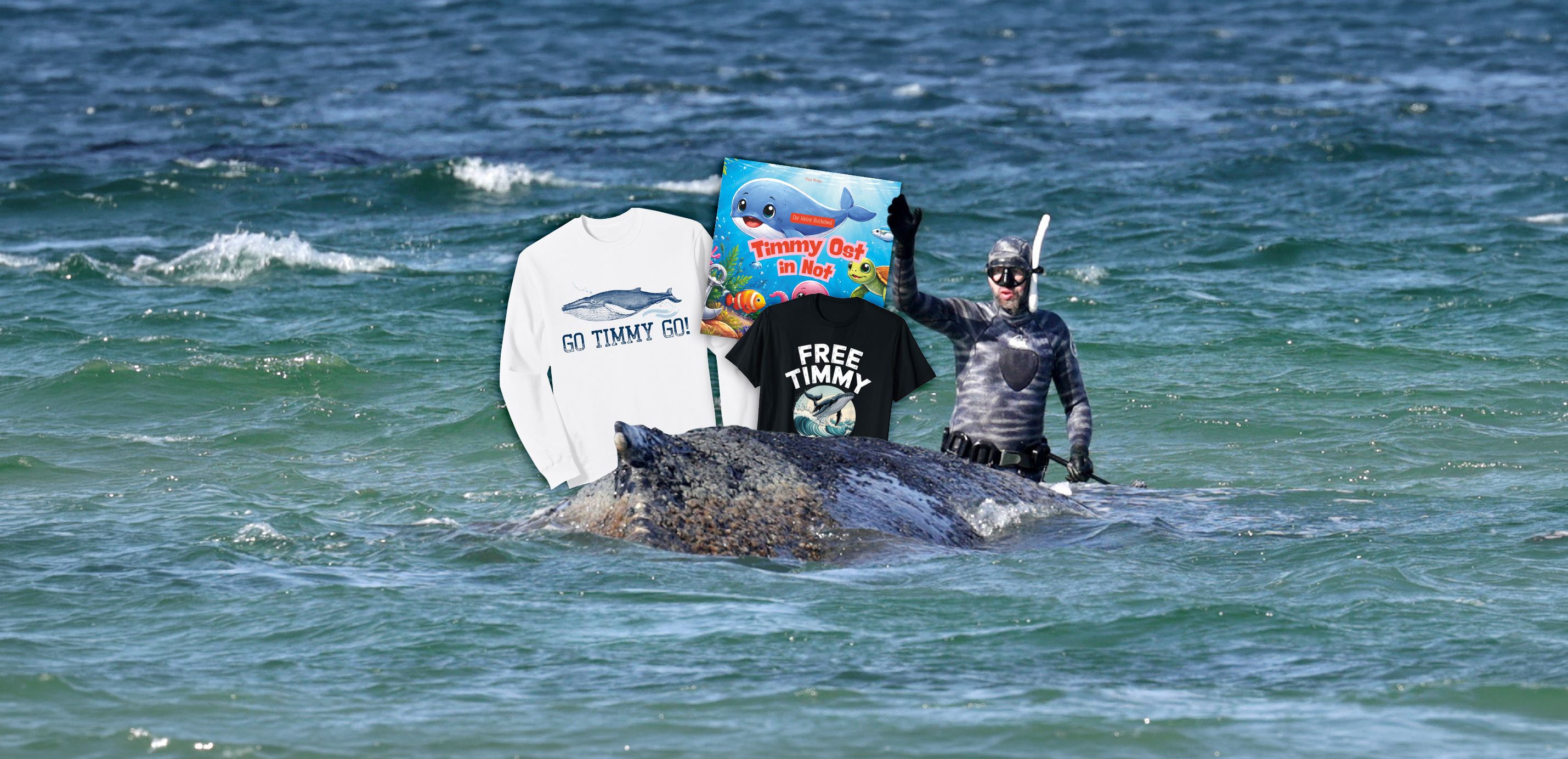 Image - Wal Timmy an der Ostsee: Wie mit seinem Schicksal Geld verdient wird